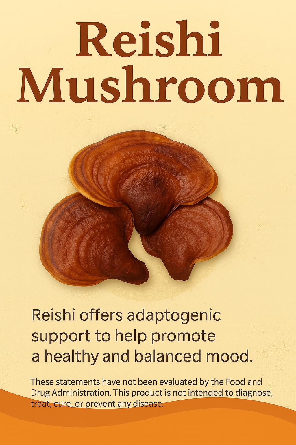 Mushroom Complex Capsules with Lion’s Mane, Reishi, Cordyceps, Chaga & Turkey Tail – True Totality Mushroom Power – Immune, Energy & Focus Support – 90 Vegan Capsules - TrustMedUSA