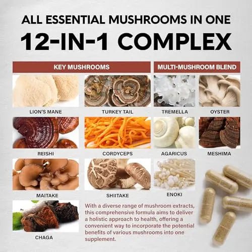 Mushroom Supplement - Organic Lion's Mane | Turkey Tail | Chaga | Cordyceps | Reishi - TrustMedUSA