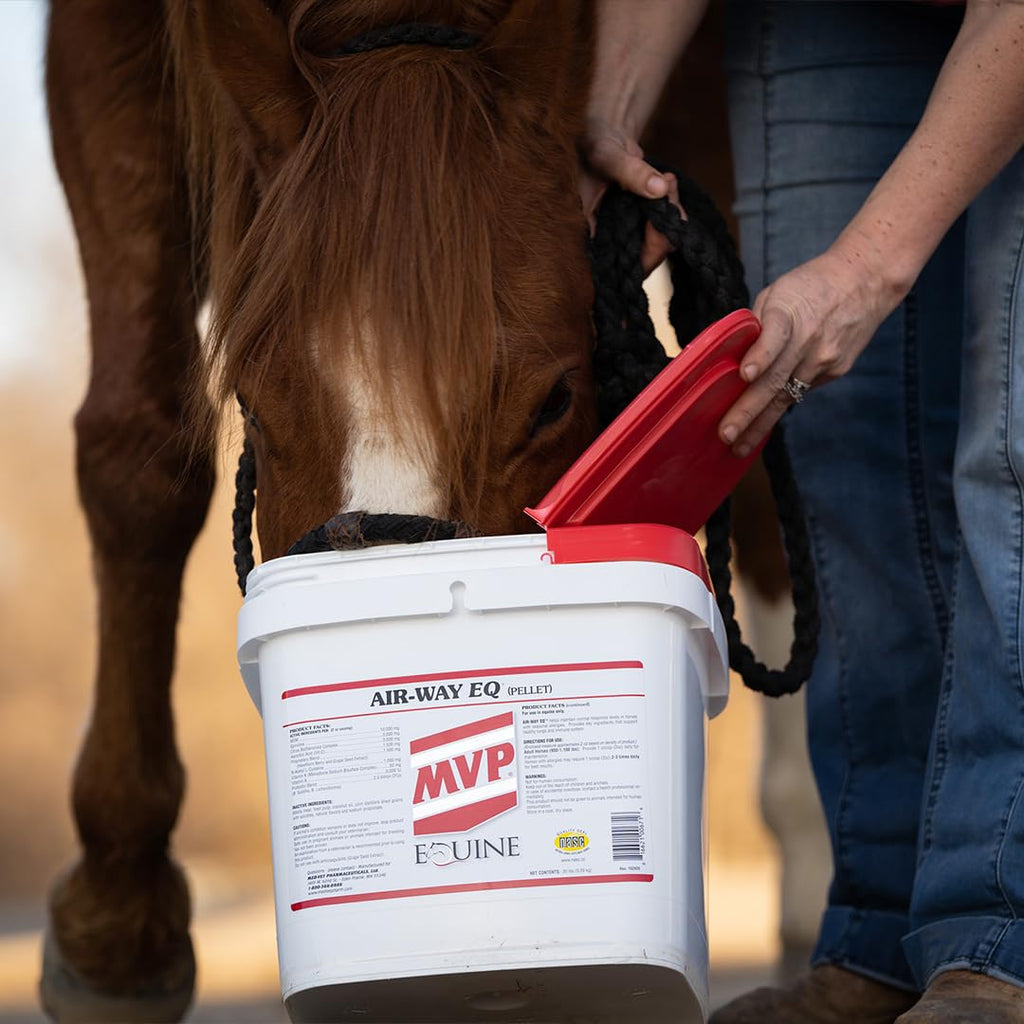 MVP Air-Way EQ Supports Healthy Lung Function and Seasonal Allergy Support in Horses, 5lb - 40 Servings - TrustMedUSA