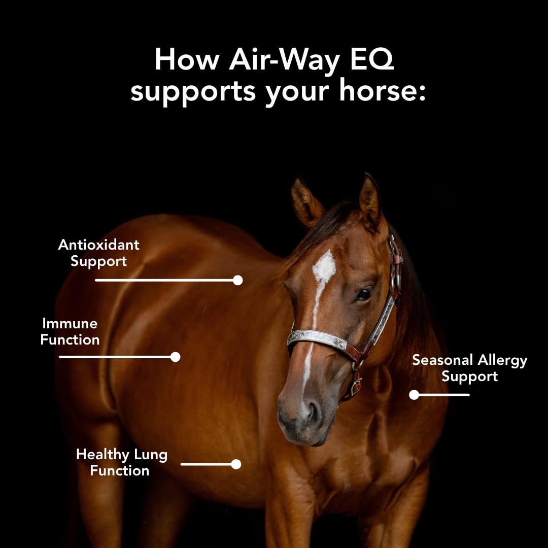 MVP Air-Way EQ Supports Healthy Lung Function and Seasonal Allergy Support in Horses, 5lb - 40 Servings - TrustMedUSA