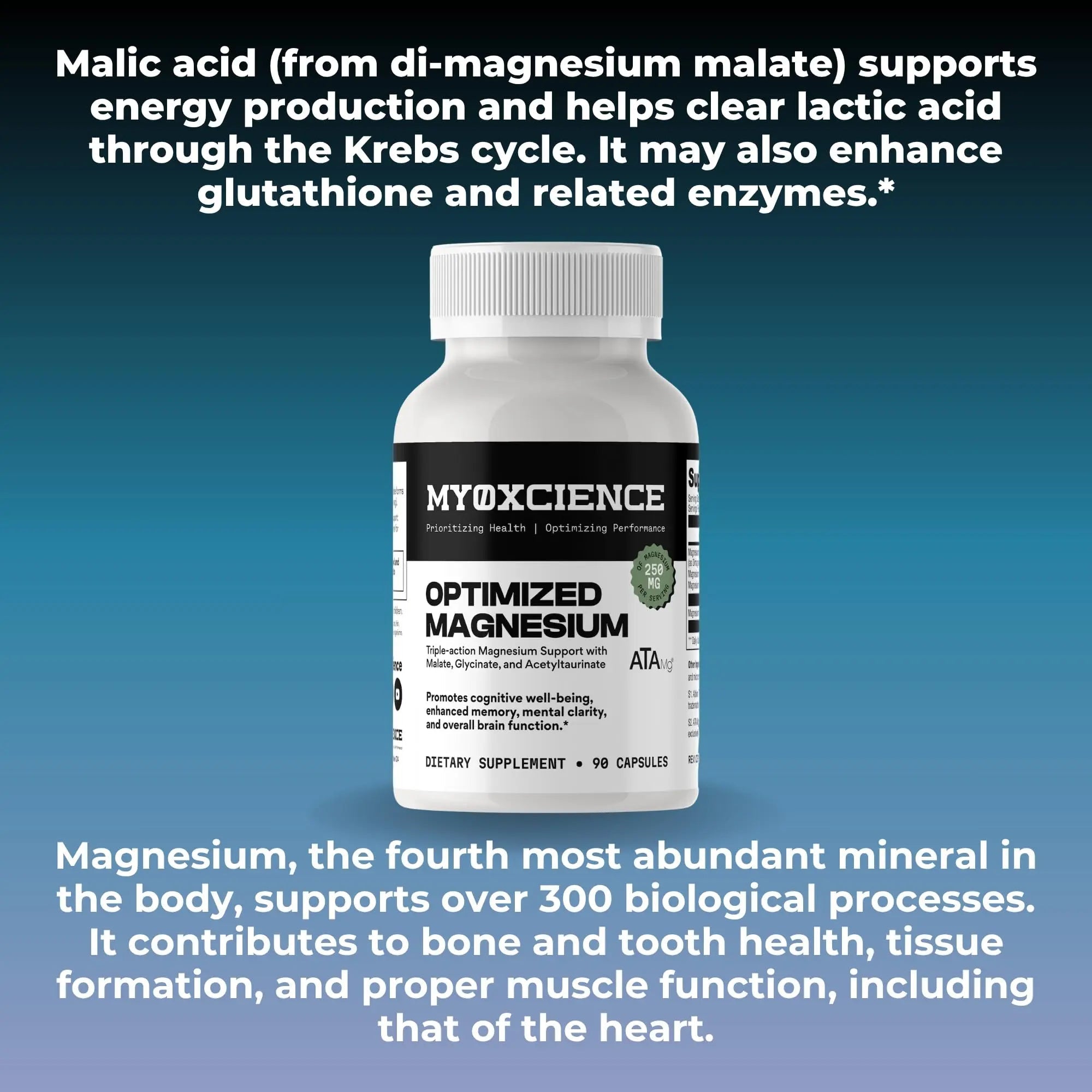 MYOXCIENCE Optimized Magnesium Glycinate + Magnesium Taurate (as ATAmag®) for High Brain Bioavailability to Support Stress Relief and Sleep | 30 Servings - TrustMedUSA