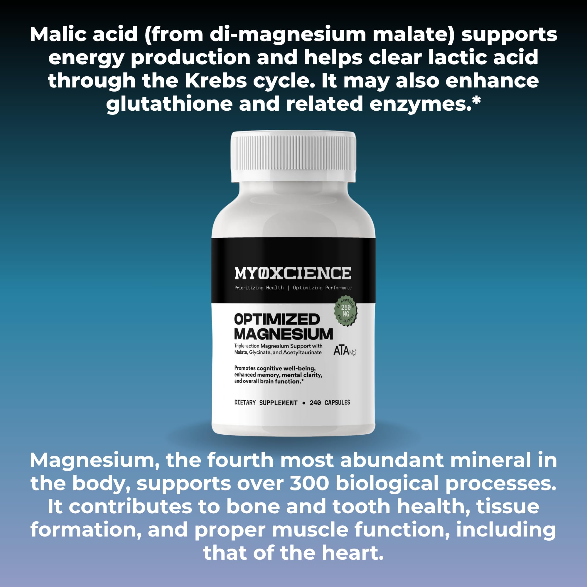 MYOXCIENCE Optimized Magnesium Glycinate + Magnesium Taurate (as ATAmag®) for High Brain Bioavailability to Support Stress Relief and Sleep | 80 Servings - Maple Wellness Supplements