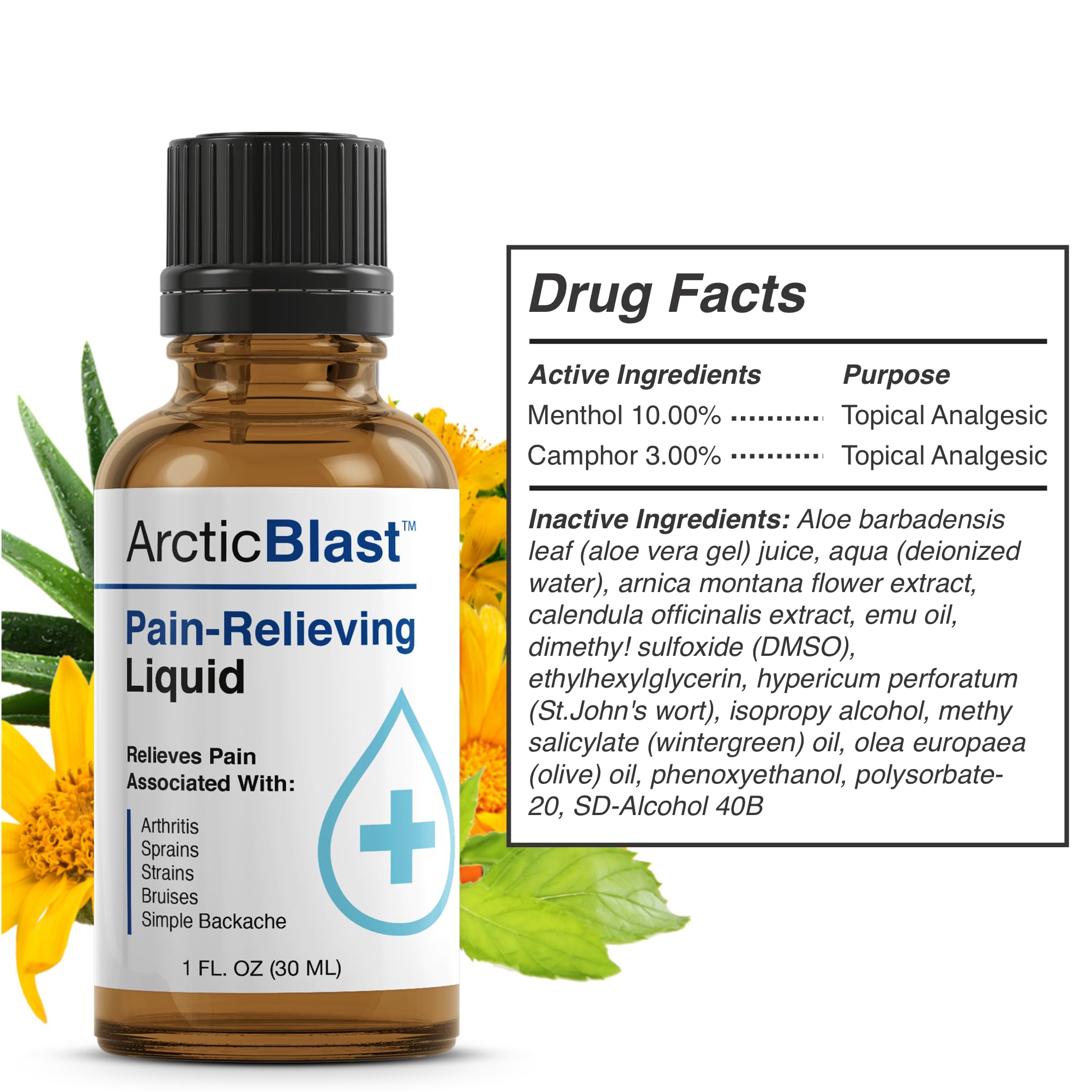 N Labs Arctic Blast Premium Topical Pain Relief Drops – Fast Absorbing DMSO, Menthol & Camphor for Back, Knee, Shoulder, Joint & Muscle Pain – Cooling Rub Formula – Made in USA – 1 fl oz - TrustMedUSA