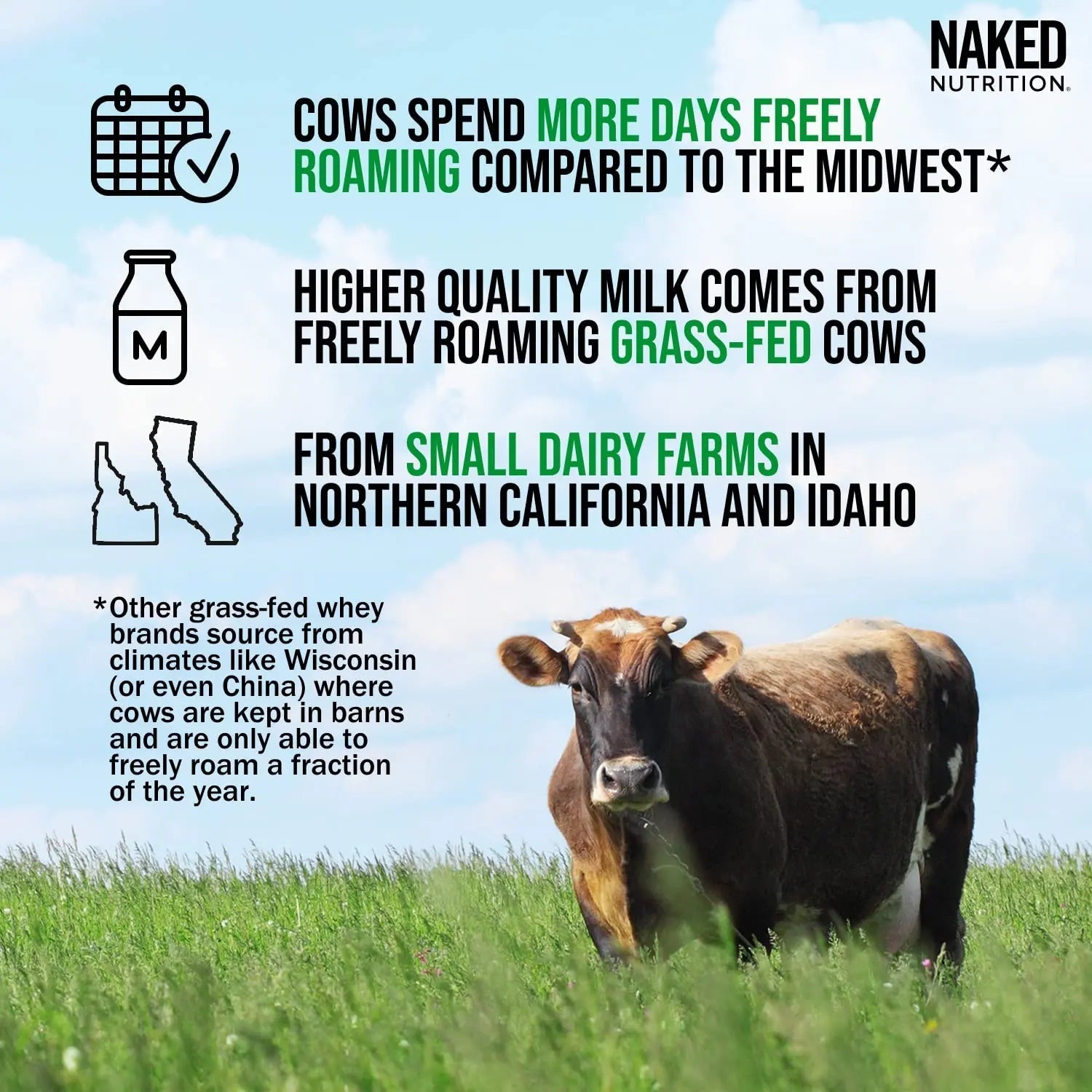 NAKED Whey Double Chocolate Grass Fed Whey Protein Powder, No GMO, No Soy - TrustMedUSA
