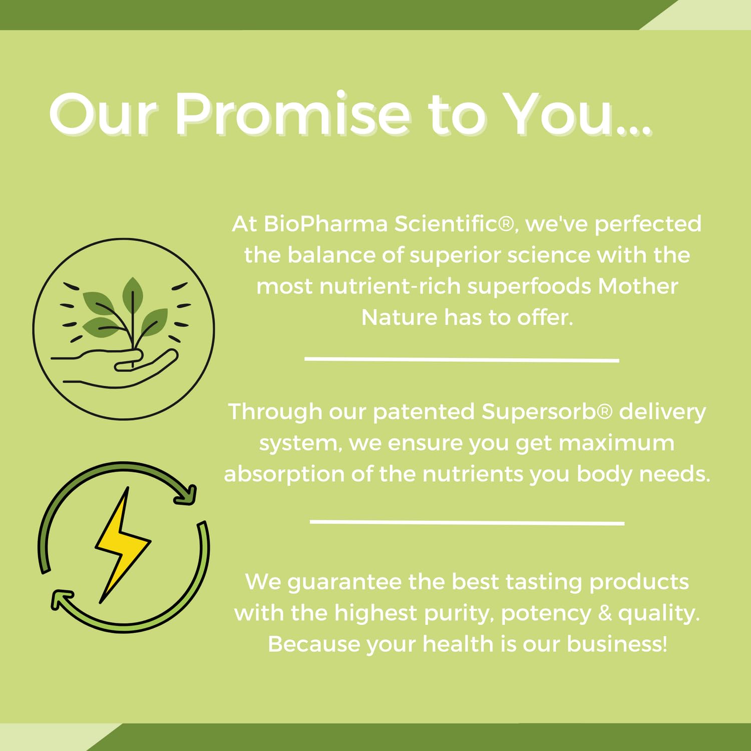 NanoMeal Plant-Based All-in-One Nutrition | Superfood Meal Replacement Powder | Tropical Fruit Blend | 10 Servings | Protein, Greens & Omega for Gut & Immune Support - TrustMedUSA
