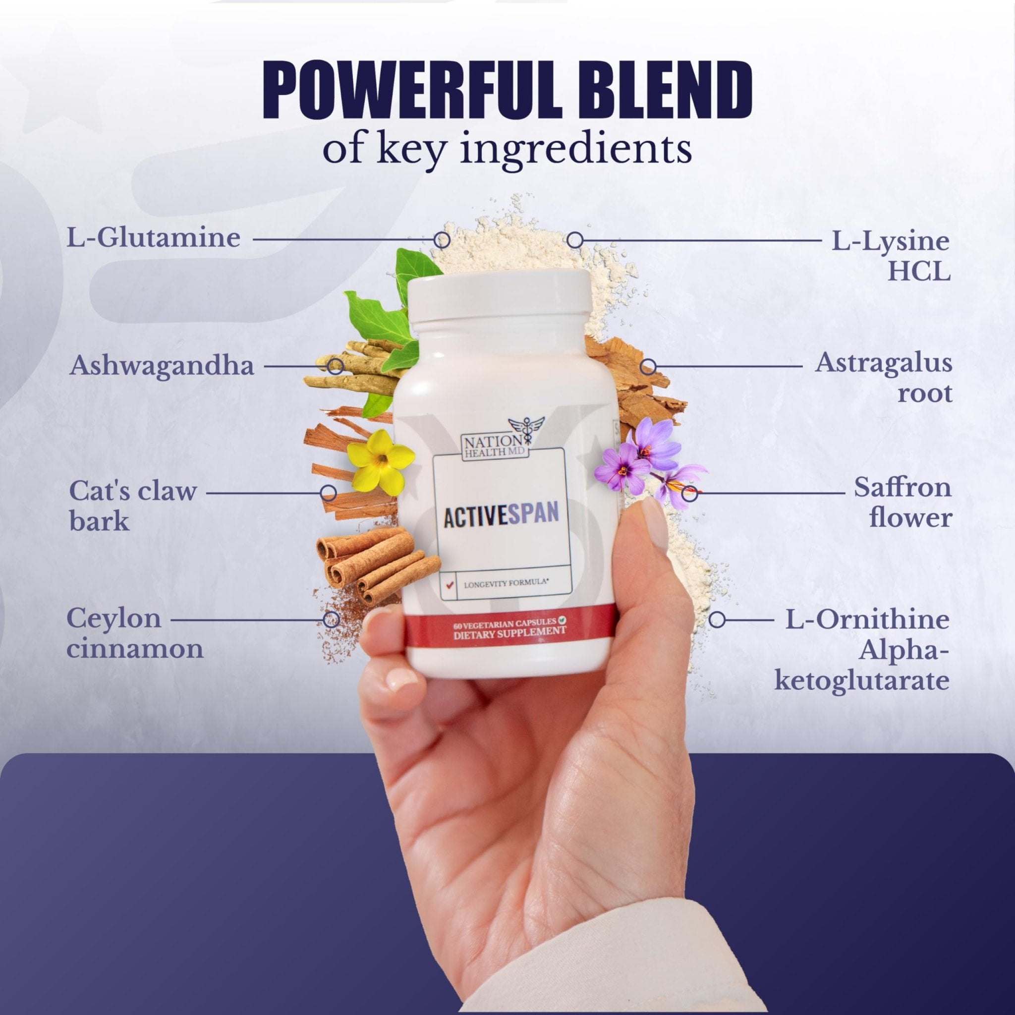 NATION HEALTH MD ActiveSpan - Longevity Supplement for Anti Aging - with Ashwagandha Extract, Astragalus, Cat's Claw, Ceylon Cinnamon, L-Lysine, L-Glutamine & More - 60 Capsules - TrustMedUSA