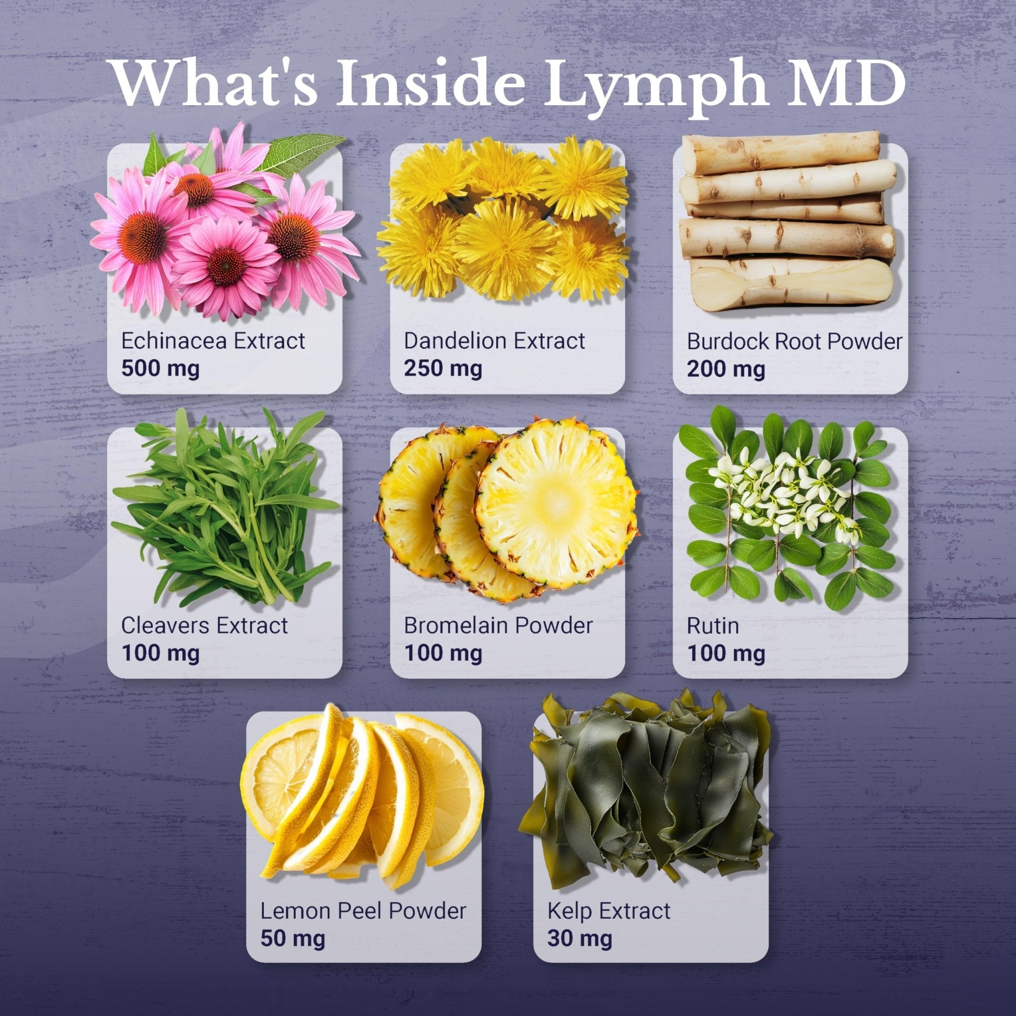 NATION HEALTH MD Lymph MD - Lymphatic Drainage Supplement - with Bromelain, Echinacea, Burdock Root, Dandelion, Rutin, Kelp & More - Lymph System Support for Women & Men - 60 Capsules - Maple Wellness Supplements