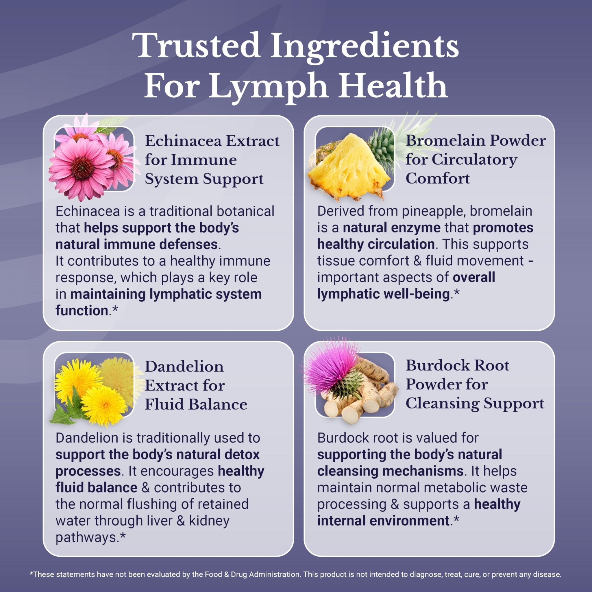 NATION HEALTH MD Lymph MD - Lymphatic Drainage Supplement - with Bromelain, Echinacea, Burdock Root, Dandelion, Rutin, Kelp & More - Lymph System Support for Women & Men - 60 Capsules - Maple Wellness Supplements