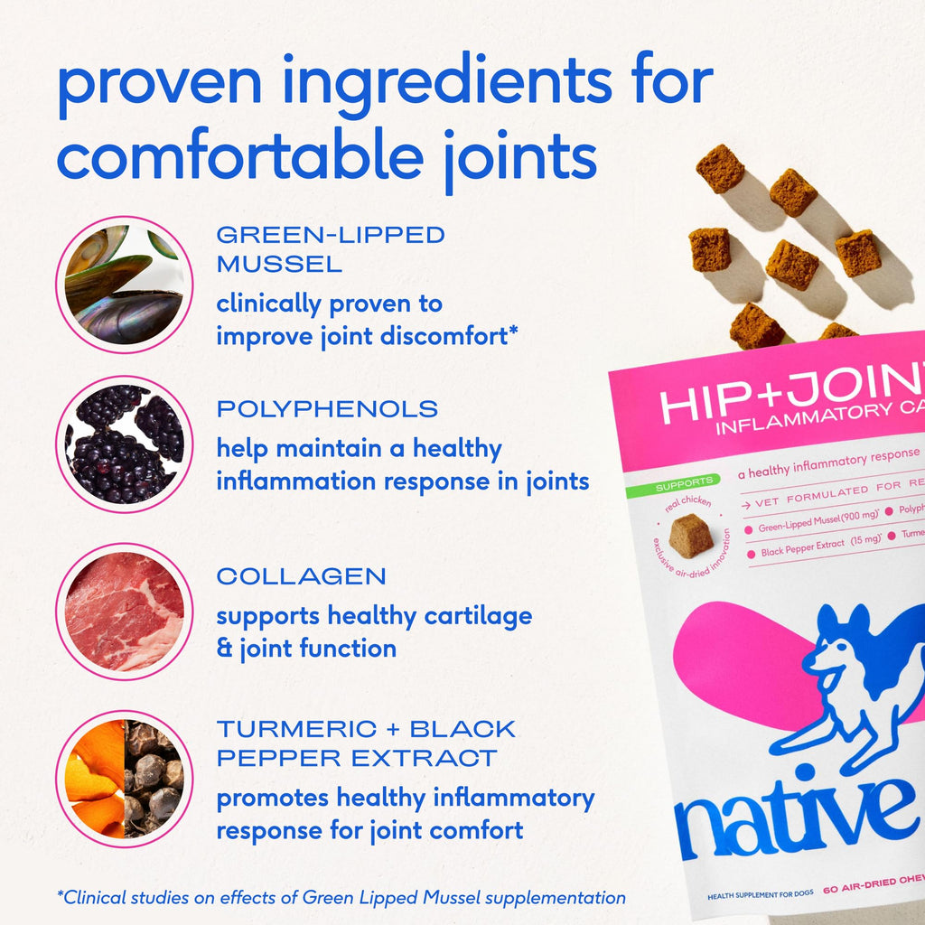Native Pet Inflammatory Care - Pain Relief for Dogs - Green-Lipped Mussel, Turmeric & Collagen for Dogs - Hip and Joint Supplement Supports Healthy Inflammatory Response & Joint Comfort - 60 Chews - TrustMedUSA