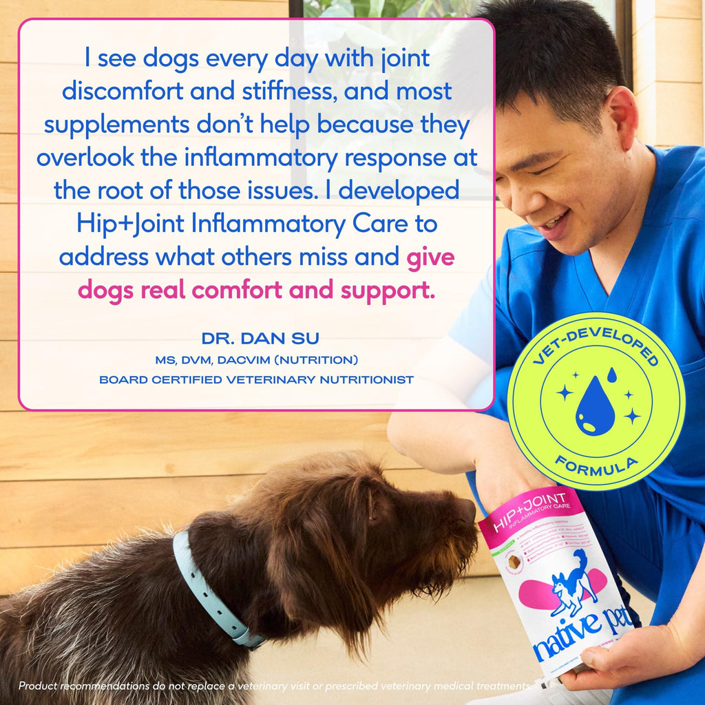 Native Pet Inflammatory Care - Pain Relief for Dogs - Green-Lipped Mussel, Turmeric & Collagen for Dogs - Hip and Joint Supplement Supports Healthy Inflammatory Response & Joint Comfort - 60 Chews - TrustMedUSA