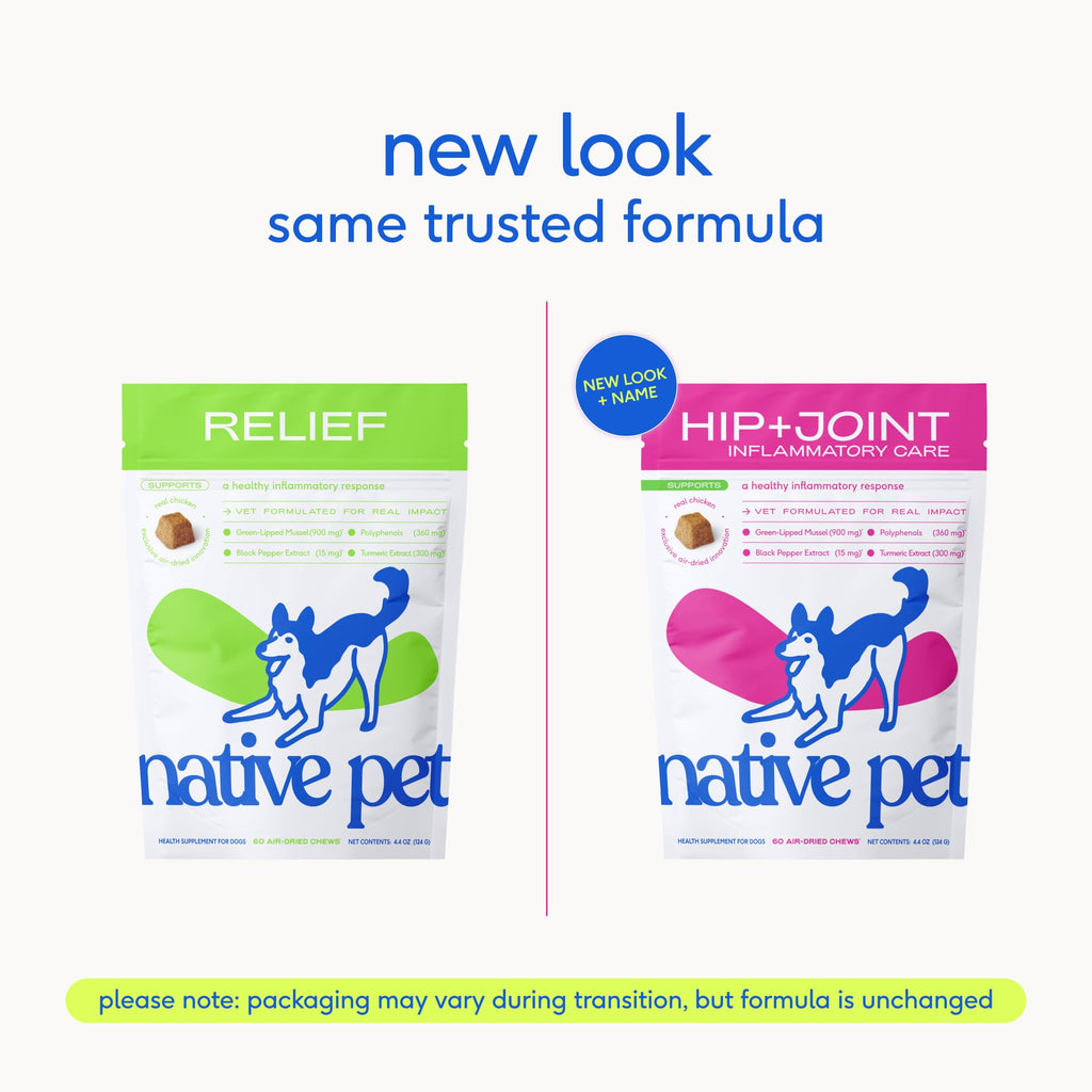 Native Pet Inflammatory Care - Pain Relief for Dogs - Green-Lipped Mussel, Turmeric & Collagen for Dogs - Hip and Joint Supplement Supports Healthy Inflammatory Response & Joint Comfort - 60 Chews - TrustMedUSA