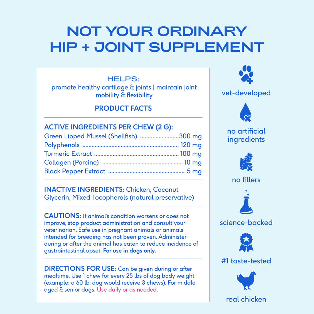 Native Pet Inflammatory Care - Pain Relief for Dogs - Green-Lipped Mussel, Turmeric & Collagen for Dogs - Hip and Joint Supplement Supports Healthy Inflammatory Response & Joint Comfort - 60 Chews - TrustMedUSA