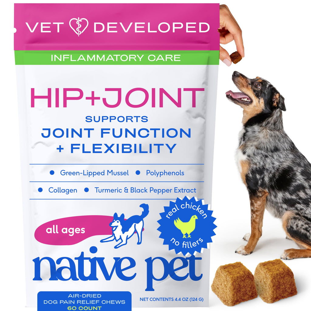 Native Pet Inflammatory Care - Pain Relief for Dogs - Green-Lipped Mussel, Turmeric & Collagen for Dogs - Hip and Joint Supplement Supports Healthy Inflammatory Response & Joint Comfort - 60 Chews - TrustMedUSA