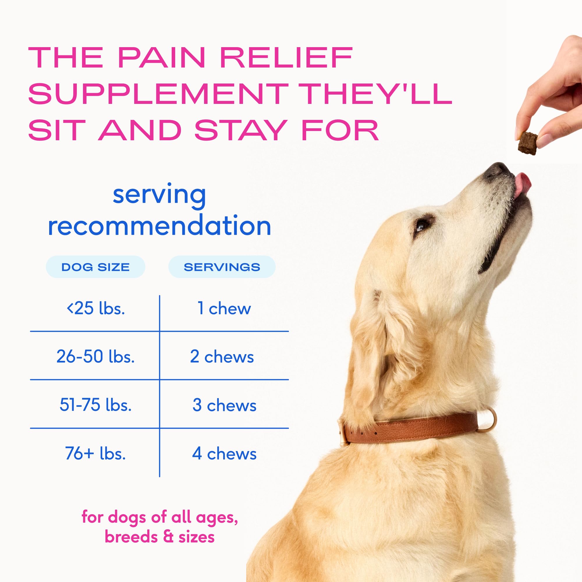 Native Pet Inflammatory Care - Pain Relief for Dogs - Green-Lipped Mussel, Turmeric & Collagen for Dogs - Hip and Joint Supplement Supports Healthy Inflammatory Response & Joint Comfort - 60 Chews - TrustMedUSA