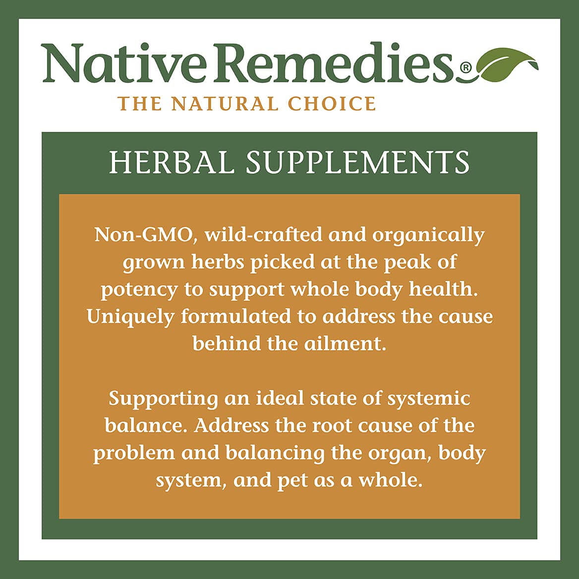 Native Remedies Inflam Dr. - All Natural Herbal Supplement Promotes Healthy Inflammation Response - Helps Fight Oxidative Stress to Cells - 60 Veggie Caps - TrustMedUSA