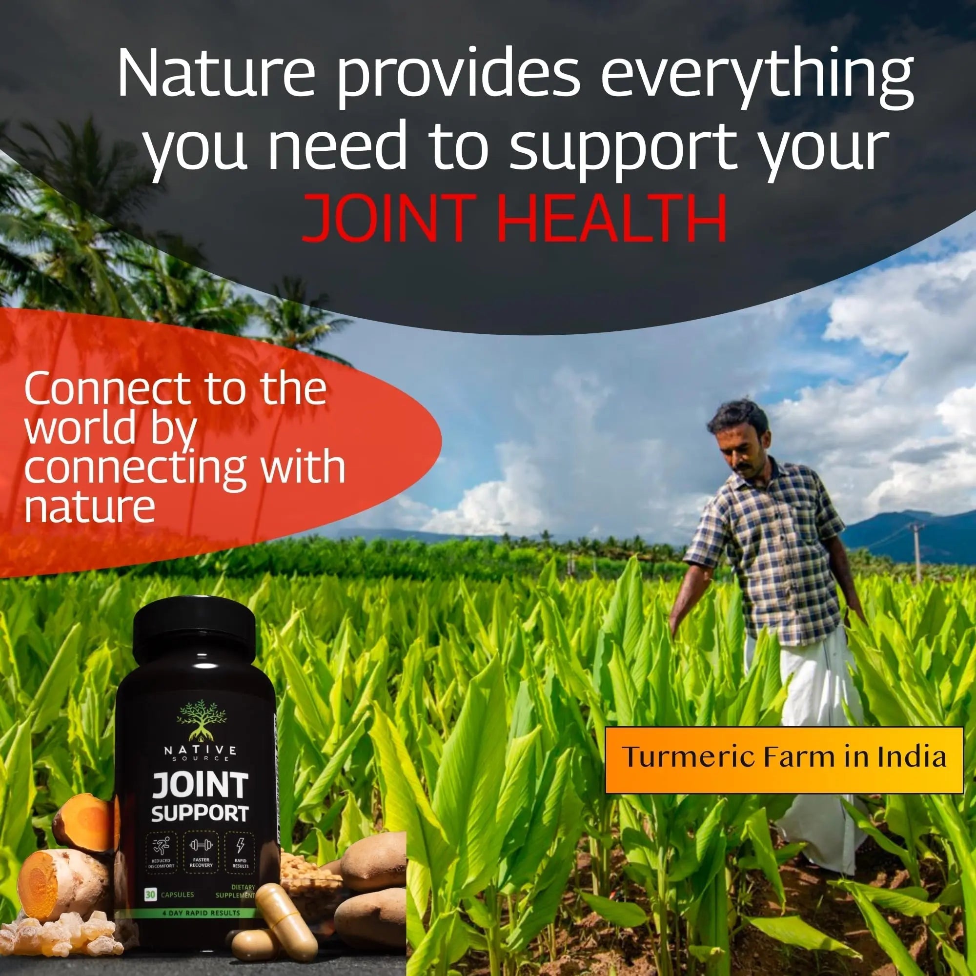Native Source Joint Support Supplement - Turmeric - Tamarind - Boswellia - Fenugreek - TrustMedUSA