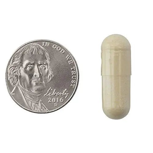 Natrol Carb Intercept with Phase 2 Carb Controller Capsules, White Kidney (Pack of 12) - TrustMedUSA