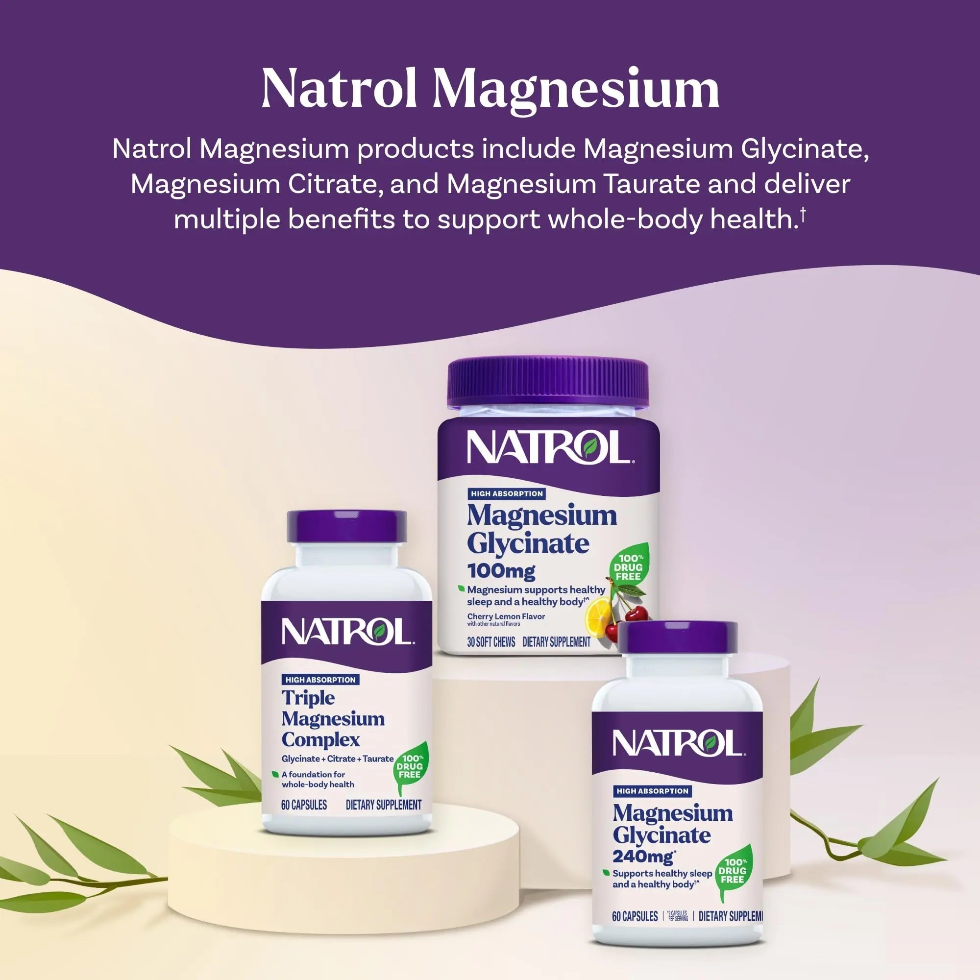 Natrol Triple Magnesium Complex Supplement, Glycinate, Citrate & Taurate 200mg High Absorption, Support Whole Body Wellness, 60 Capsules - TrustMedUSA