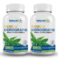 Natural Cure Labs Premium Andrographis Paniculata Extract 1,200mg (100mg Andrographolides), 120 Capsules, Non-GMO, Vegan, Gluten Free - Maple Wellness Supplements