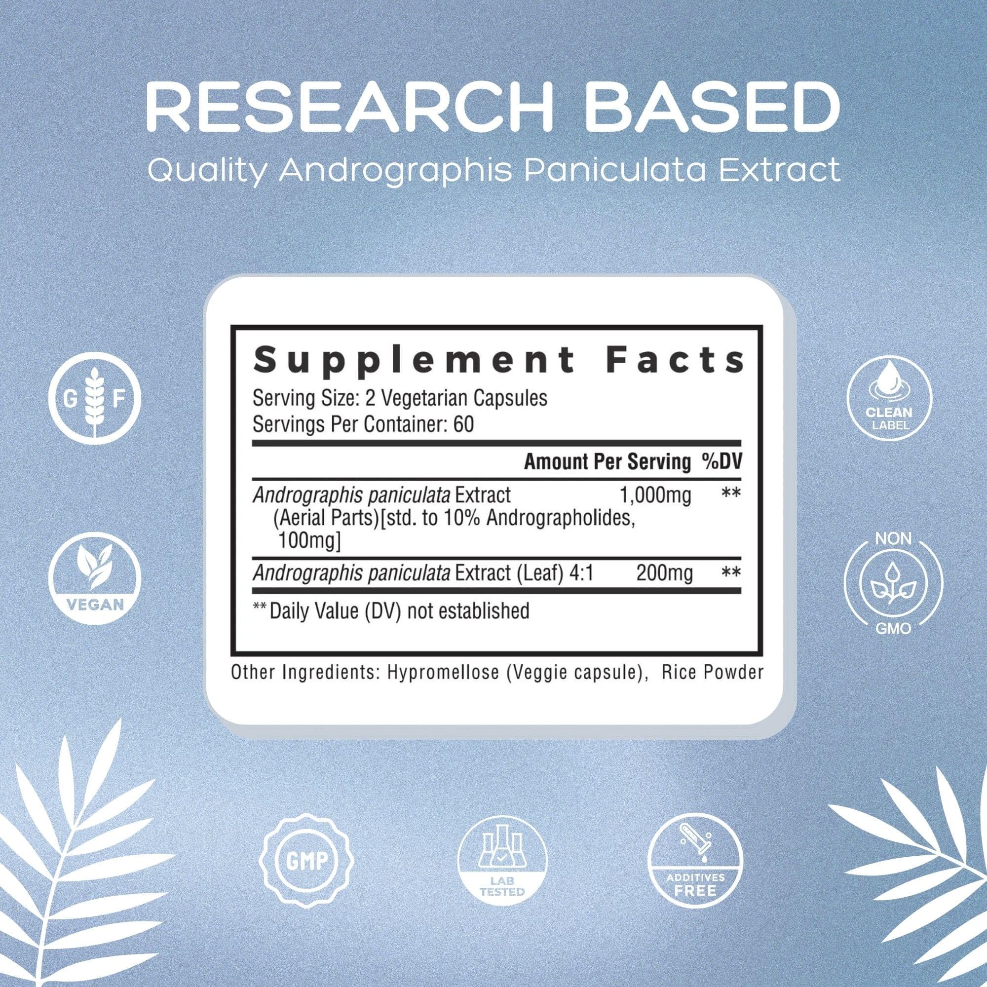 Natural Cure Labs Premium Andrographis Paniculata Extract 1,200mg – 100mg Standardized Andrographolides – Vegan Immune & Digestive Support Capsules – Non-GMO, Gluten-Free, Herbal Dietary Supplement - Maple Wellness Supplements