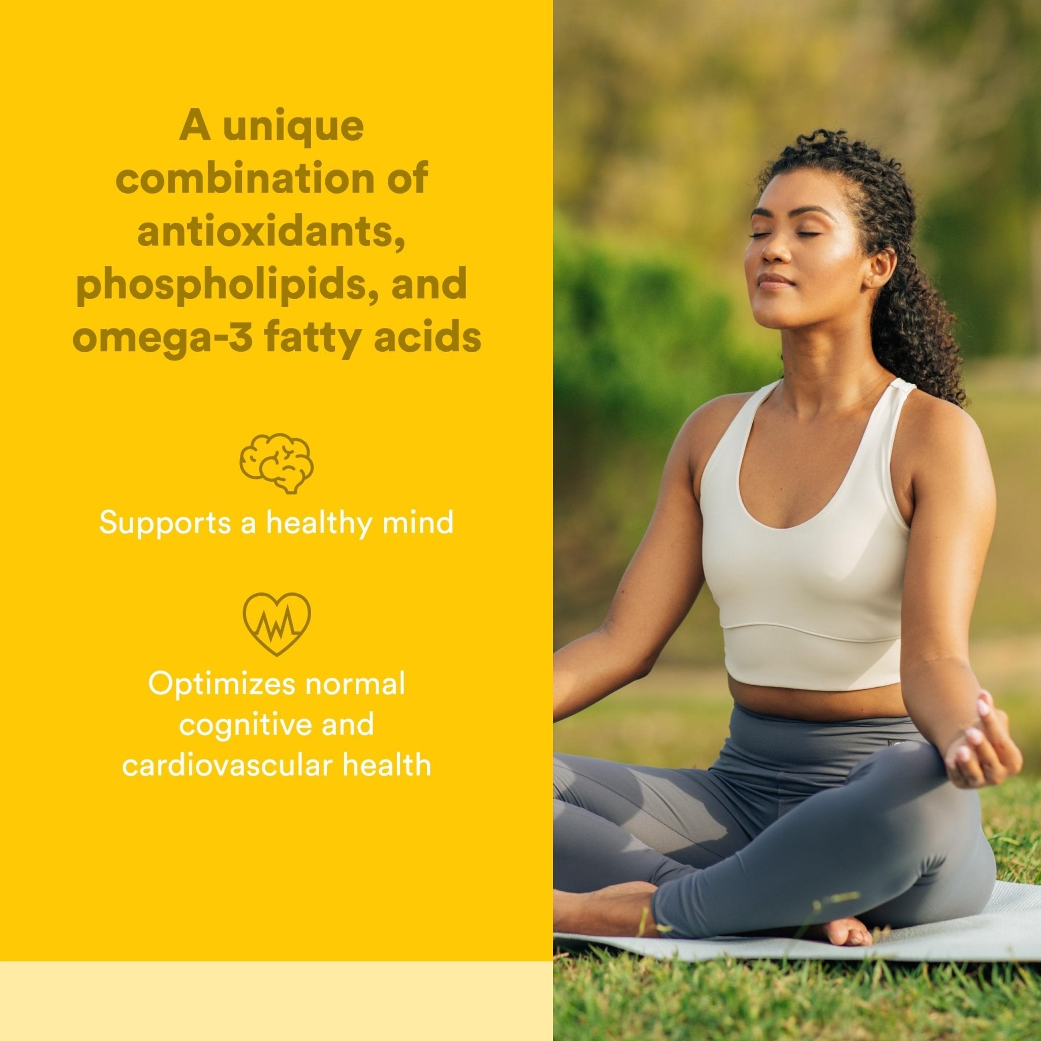 Natural Factors Higher Thoughts - Supports Cognitive & Cardiovascular Health* - Fish Oil, Fatty Acids, EPA, DHA & More - 90 Softgels - TrustMedUSA
