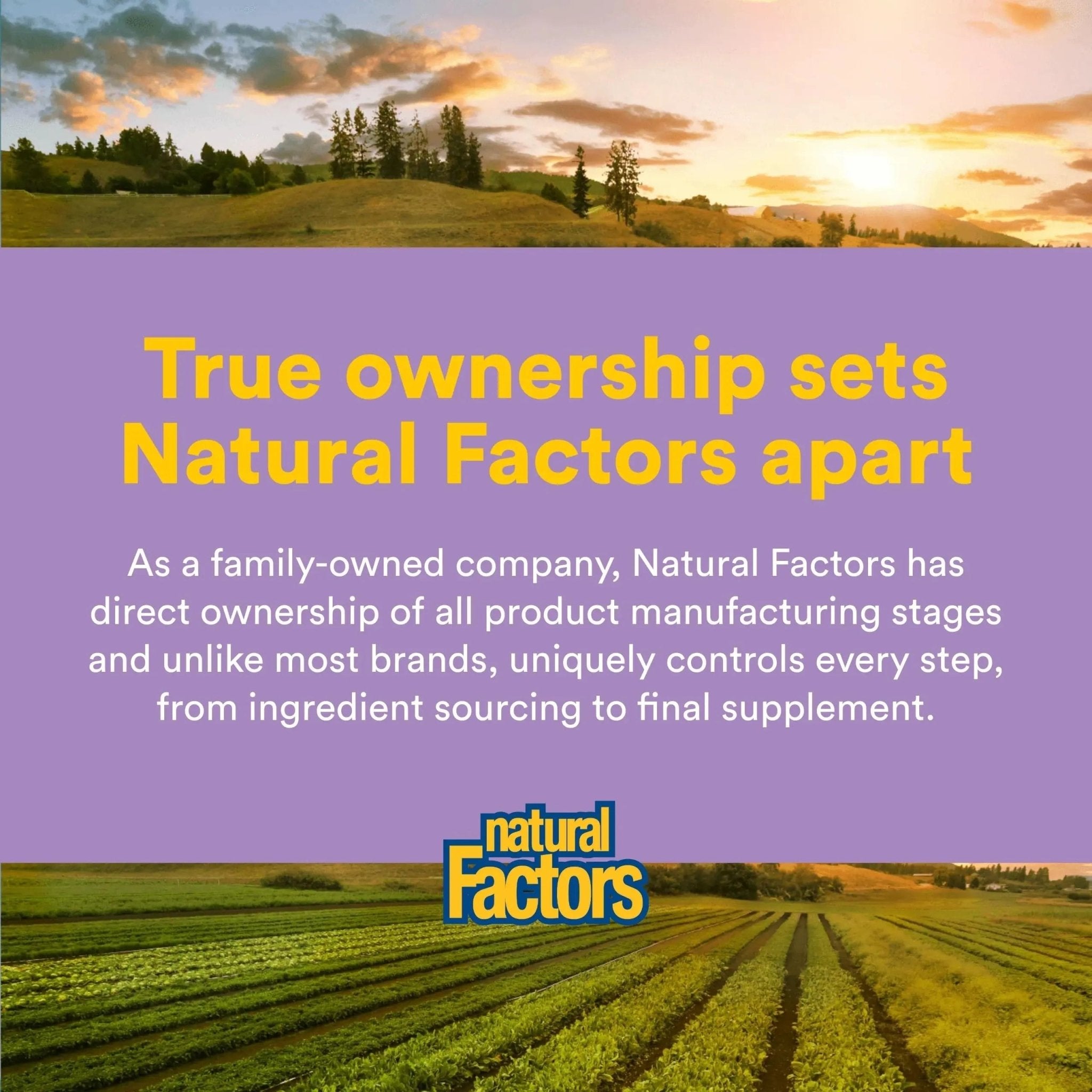 Natural Factors Pharma GABA - Dietary Supplement Supports Calm Sleep & Sleep Quality - Natural, Fast-Working Supplement Aids Focus & Brain Health - 120 Chewable Tablets (60 Servings) - TrustMedUSA
