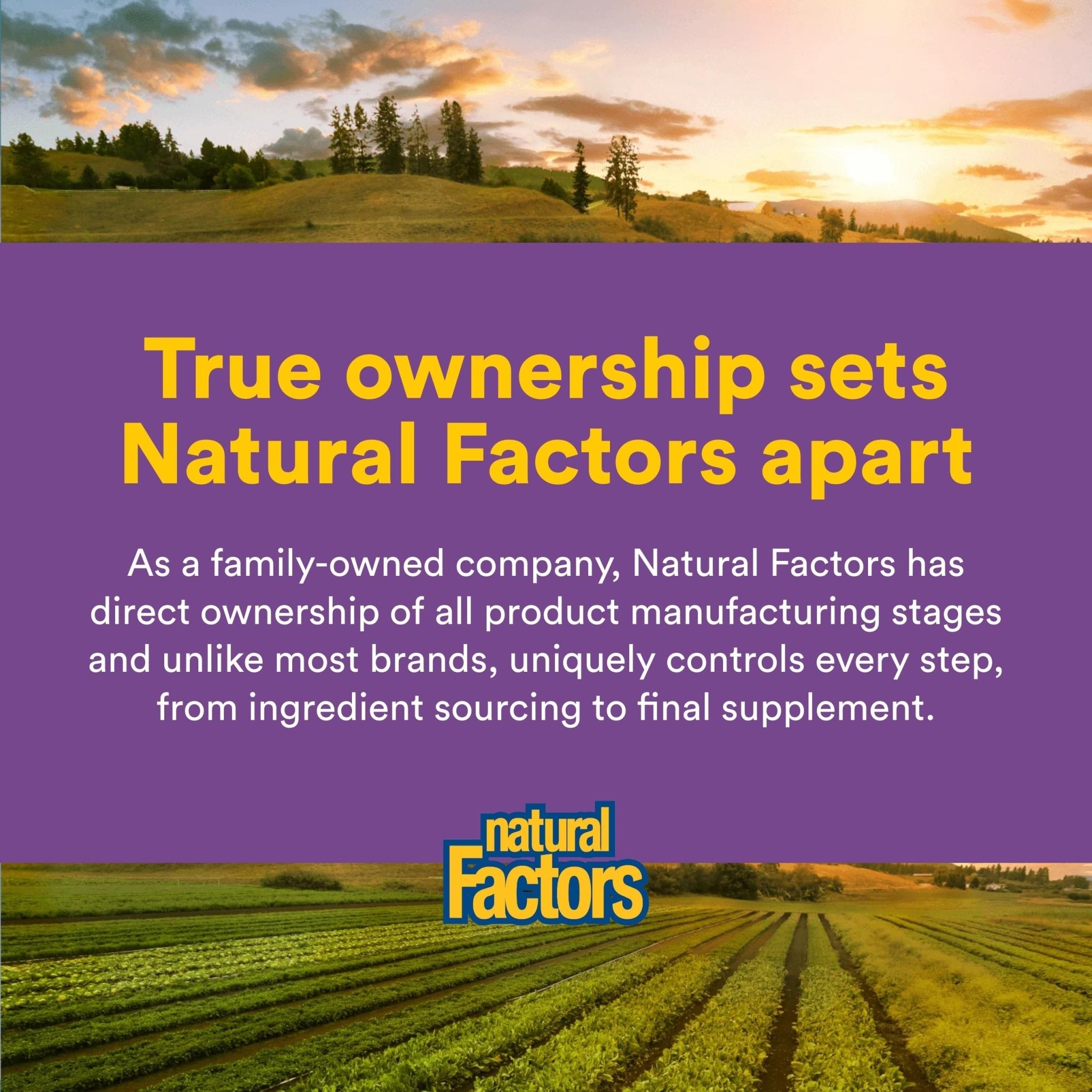Natural Factors Pharma GABA - Dietary Supplement Supports Calm Sleep & Sleep Quality - Natural, Fast-Working Supplement Aids Focus & Brain Health - 60 Chewable Tablets (60 Servings) - TrustMedUSA