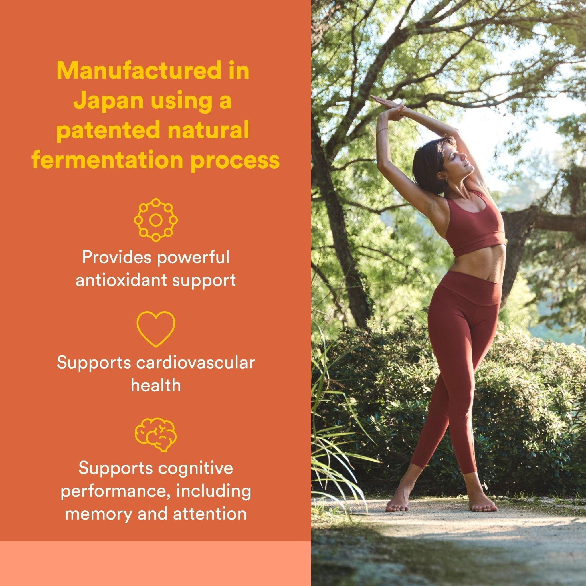 Natural Factors, PQQ-10, Supports Energy and Healthy Aging, Dietary Supplement, 60 softgels (60 servings) - TrustMedUSA