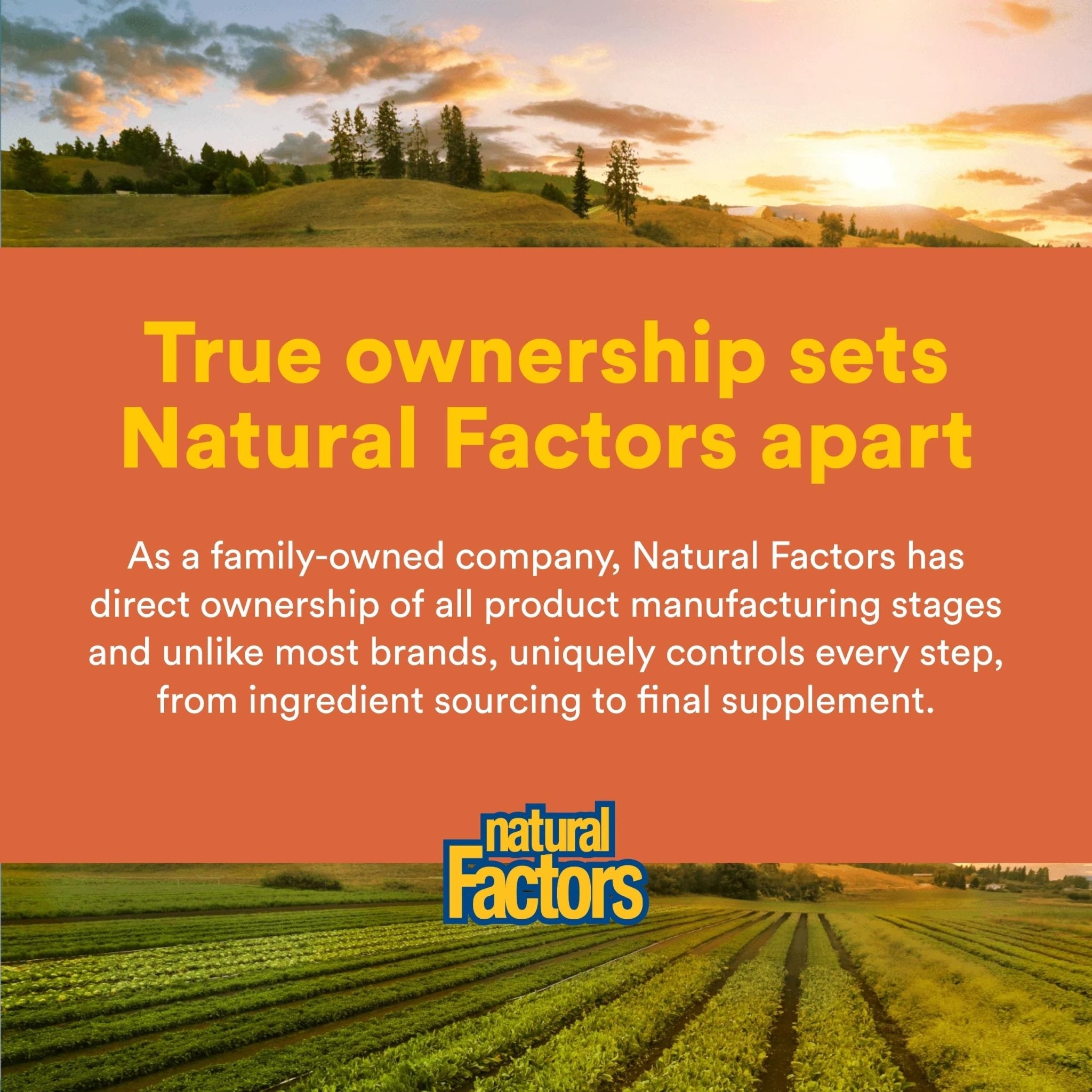 Natural Factors, PQQ-10, Supports Energy and Healthy Aging, Dietary Supplement, 60 softgels (60 servings) - TrustMedUSA