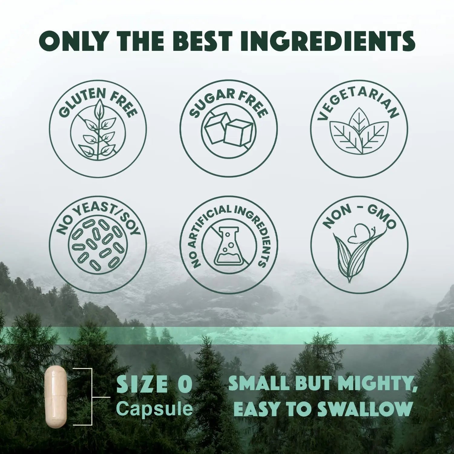 Natural Rhythm Triple Calm Magnesium Complex - 120 Capsules, Chelated Magnesium Glycinate, Taurate & Malate, High Absorption Supplement for Sleep, Stress, Muscle & Heart Support, Non-GMO, Vegan - TrustMedUSA