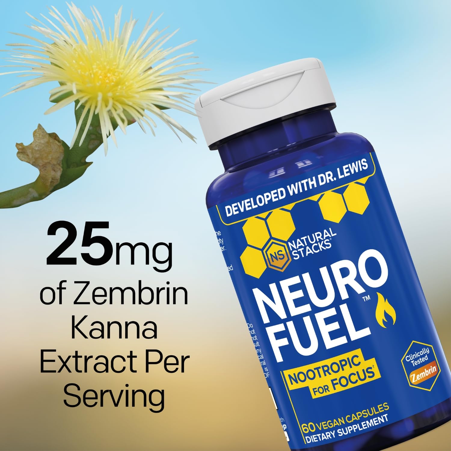 NATURAL STACKS NeuroFuel Nootropic with Zembrin - Doctor Developed Memory & Focus Supplement - Kanna Extract Sceletium Tortuosum - Nootropic Brain Supplement for Focus - 60 Zembrin Capsules - TrustMedUSA