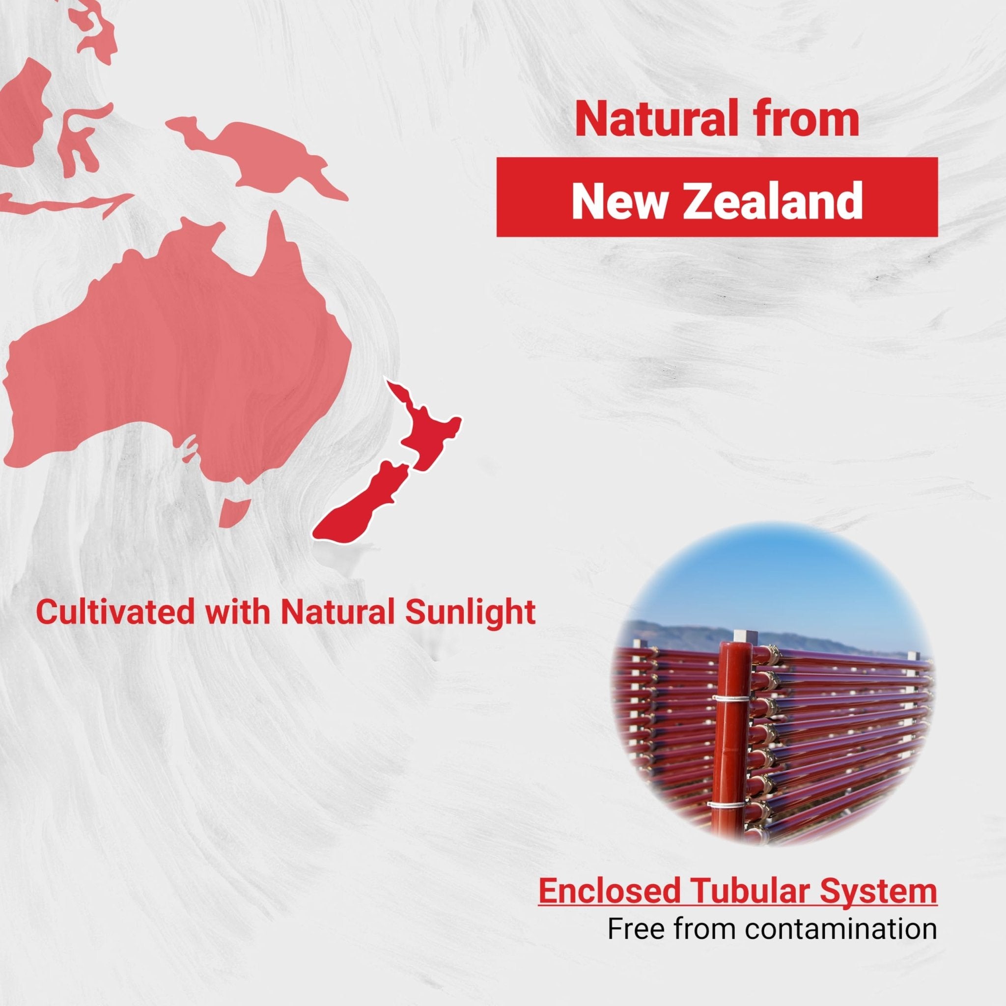 Naturalis New Zealand Astaxanthin (12mg) | Enhanced with Natural Vitamin E | Non-GMO, Soy & Gluten Free | 120 Softgels (4 Month Supply) - TrustMedUSA