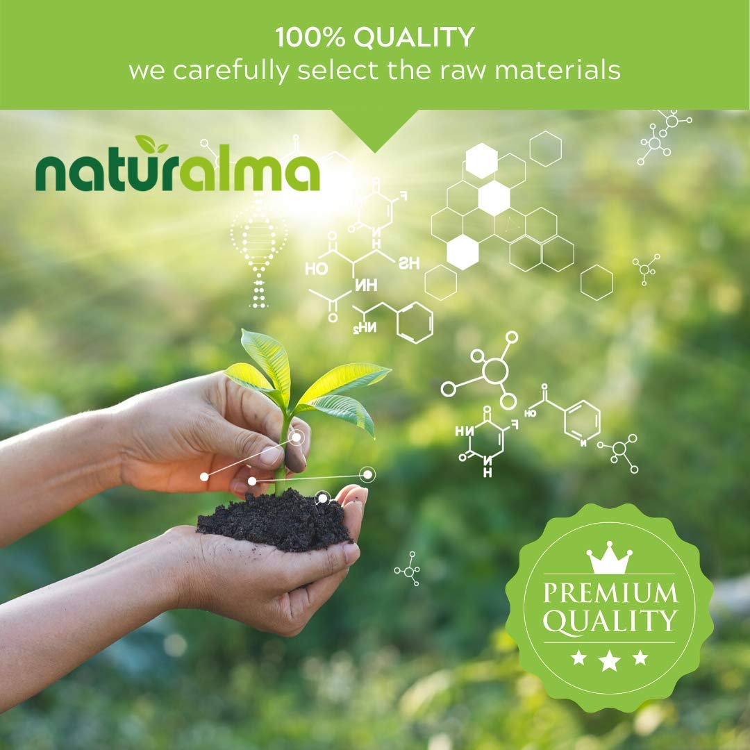 Naturalma White Willow (Salix alba) bark Alcohol-Free Tincture - 6.76 fl oz Liquid Extract in Drops - Herbal Supplement - Vegan - TrustMedUSA