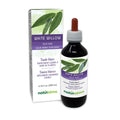 Naturalma White Willow (Salix alba) bark Alcohol-Free Tincture - 6.76 fl oz Liquid Extract in Drops - Herbal Supplement - Vegan - TrustMedUSA