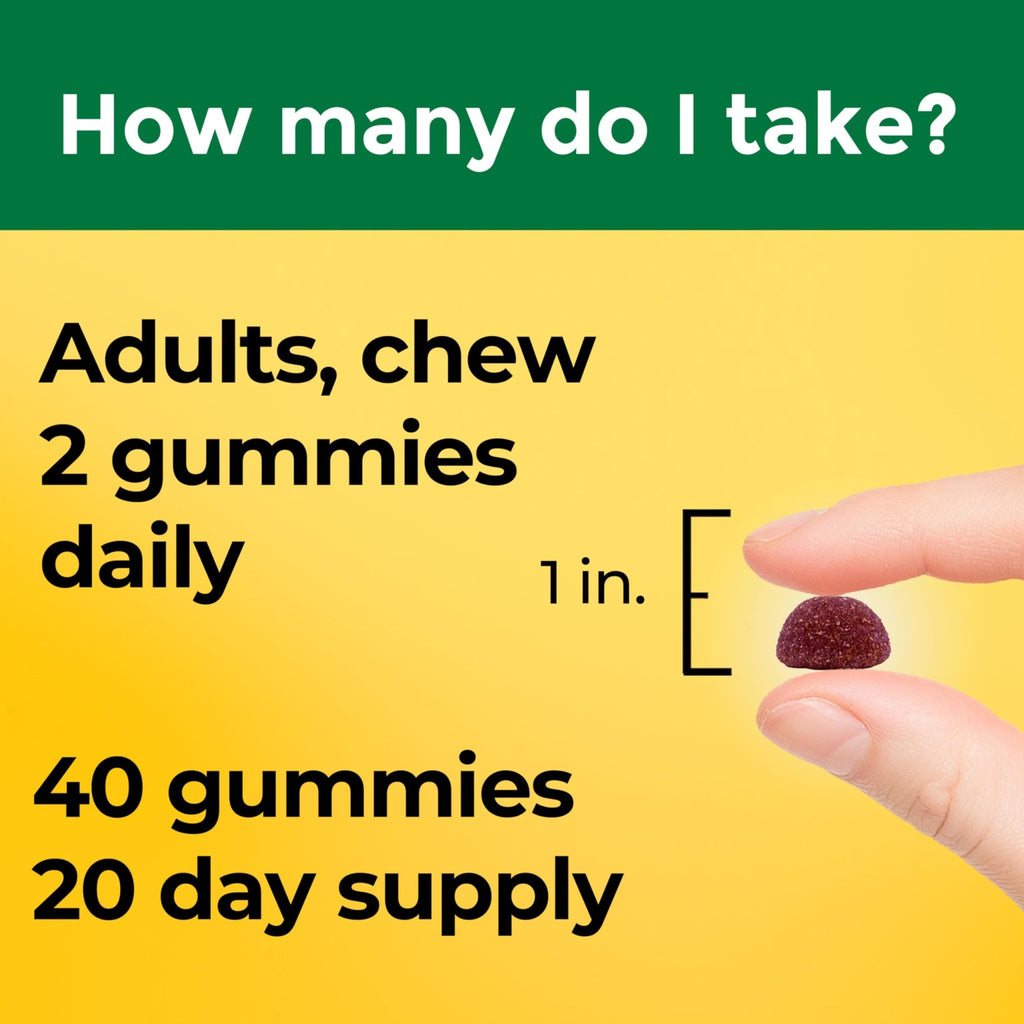 Nature Made High Absorption Magnesium Glycinate Gummies 100 mg per Serving, Muscle, Nerve, Bone and Heart Support - TrustMedUSA