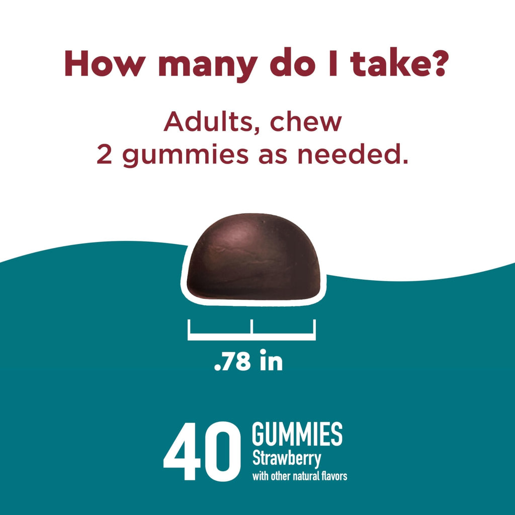Nature Made Wellblends Stress Relief Gummies, L theanine 200mg to Help Reduce Stress, with GABA 100mg, Same Day Stress Support, 40 Strawberry Flavor Gummies - TrustMedUSA