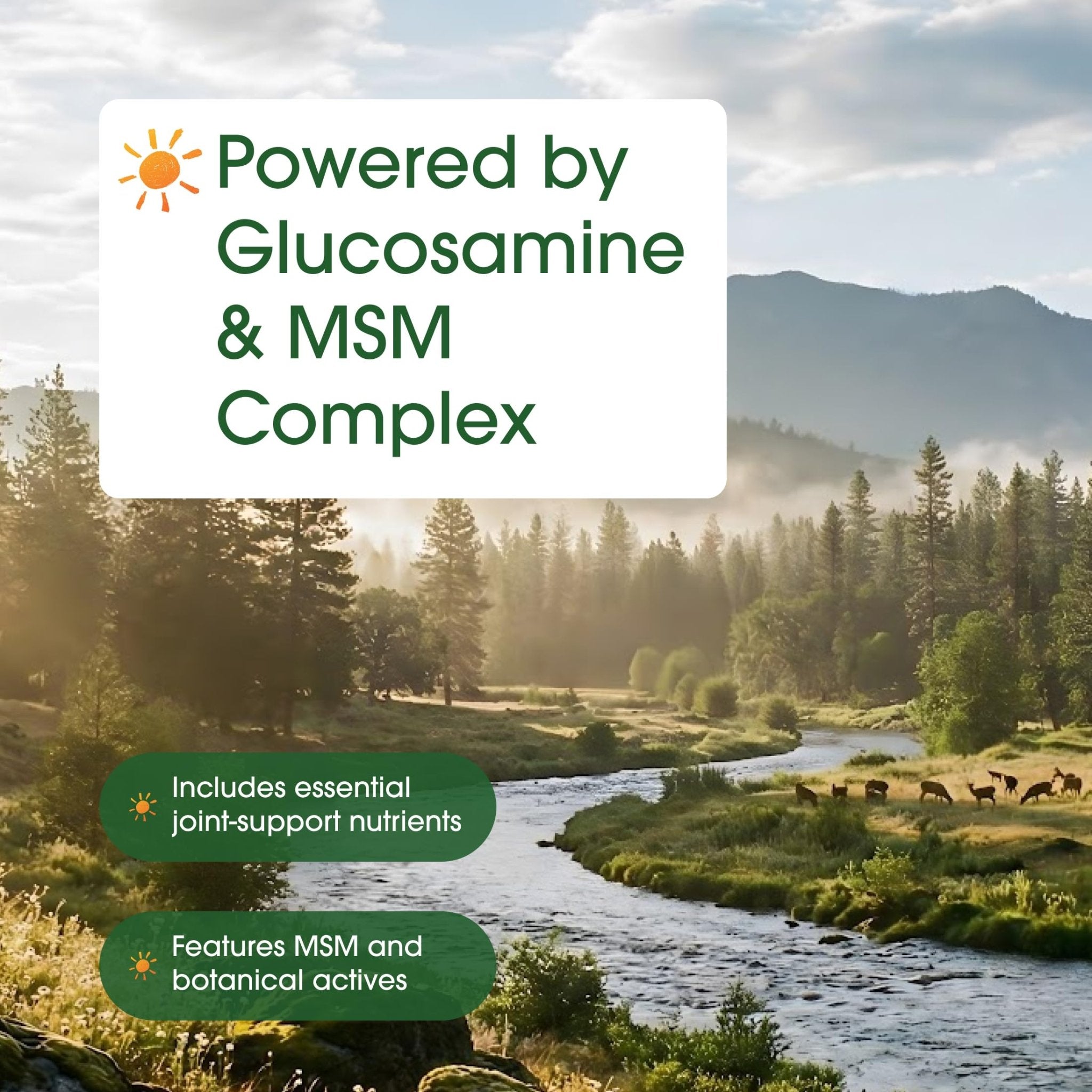 NatureBell Advanced Glucosamine Chondroitin & MSM - 240 Capsules - 10-in-1 Joint Support Complex* - Includes Hyaluronic Acid, Turmeric, Glucosamine, Collagen & More - TrustMedUSA