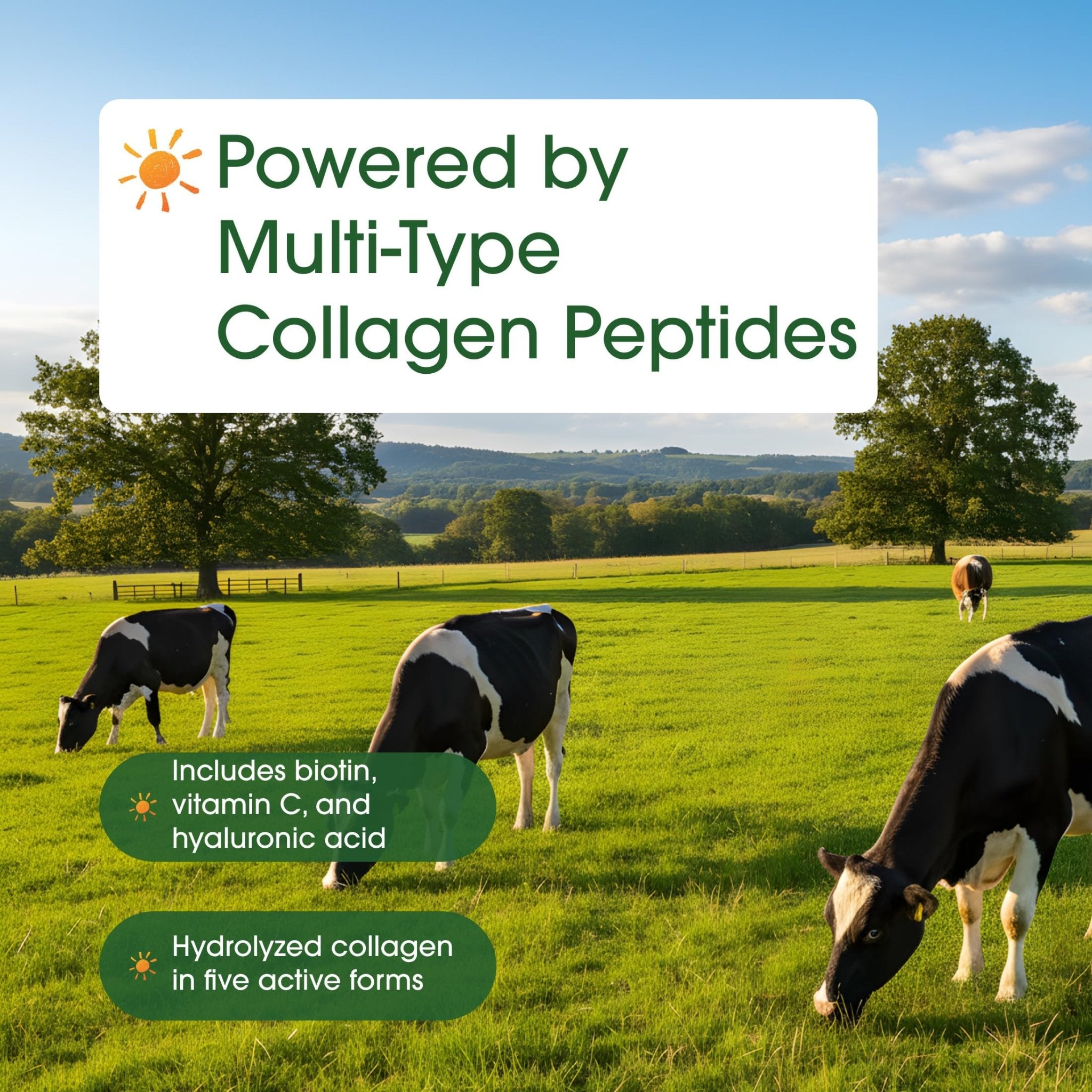 NatureBell Multi Collagen Protein Powder - 600g - Hydrolyzed Collagen Peptides - for Skin, Hair, Nail, Joint & Bone Health Support* - Grass-Fed & Keto-Friendly - Unflavored - Maple Wellness Supplements