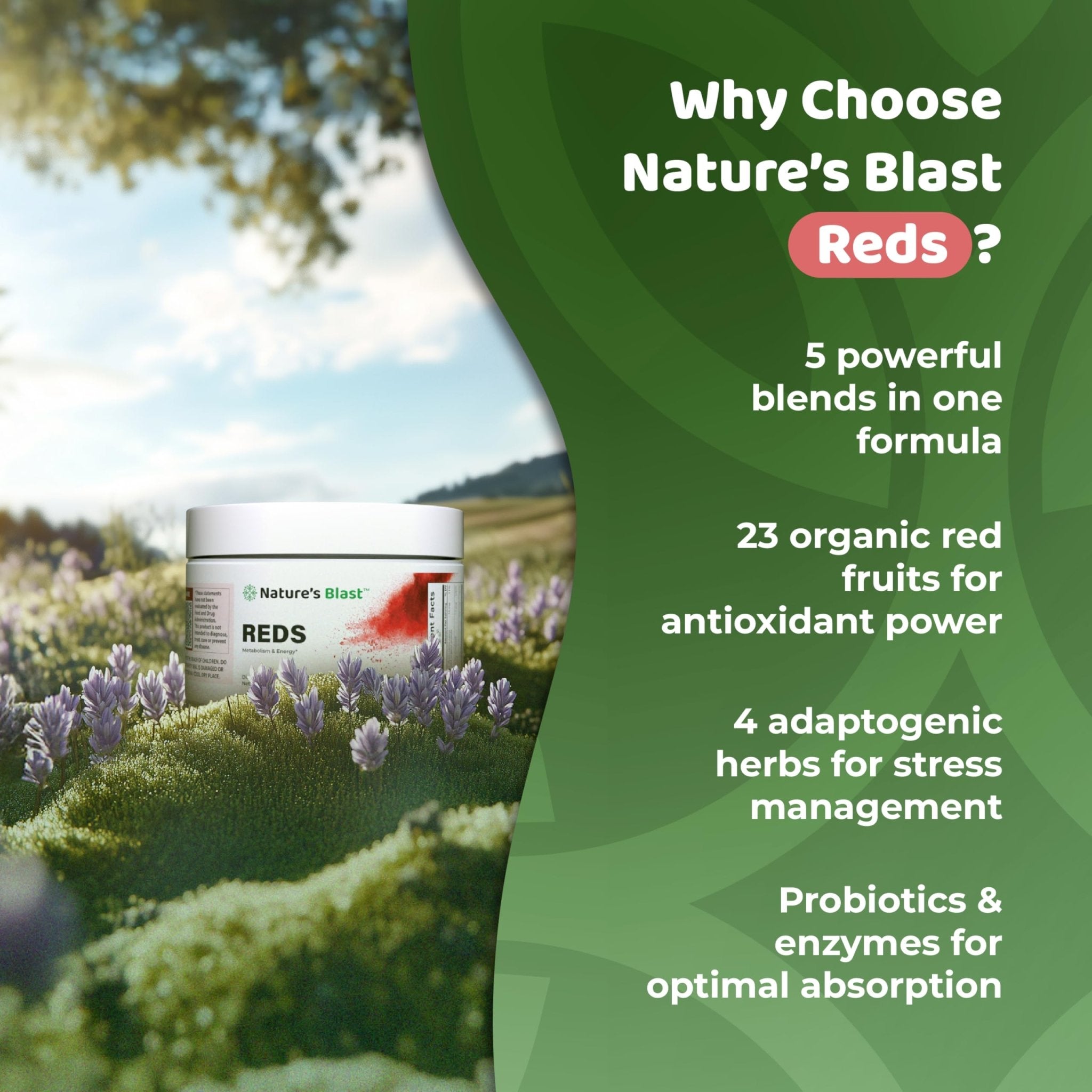 NATURES BLAST Reds - Metabolism and Energy Superfood Powder with 23 Red Fruits, 4 Adaptogens, Probiotics & Enzymes - Vegan Antioxidant Blend, 1 Bottle - TrustMedUSA