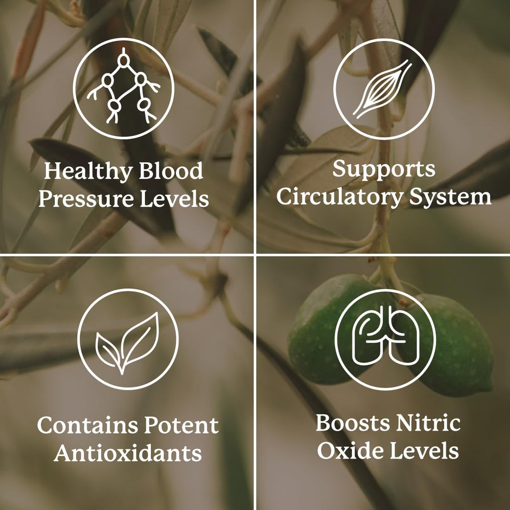 Nature's Sunshine Blood Pressurex 60 Capsules - TrustMedUSA