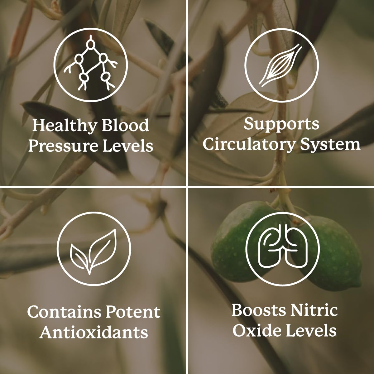 Nature's Sunshine Blood Pressurex 60 Capsules - TrustMedUSA