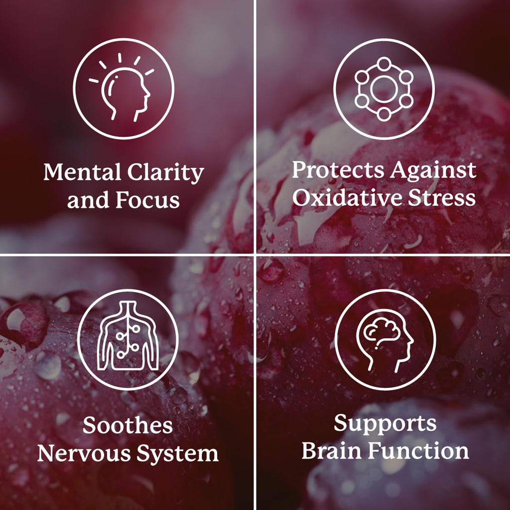 Nature's Sunshine Focus Attention, 90 Capsules, Provides Nutrients That Help Maintain Normal Brain-Stimulation Levels While Supporting Blood Circulation and Neurotransmitter Levels in The Brain - TrustMedUSA