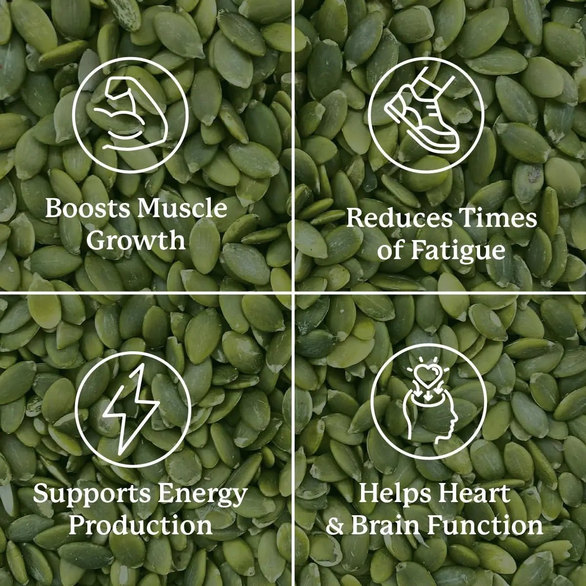 Nature’s Sunshine Magnesium Complex - High Potency Magnesium Supplement with Citrate & Malate for Relaxation, Optimal Absorption, Muscle Function, Energy Production - 50 Servings (100 Capsules) - TrustMedUSA
