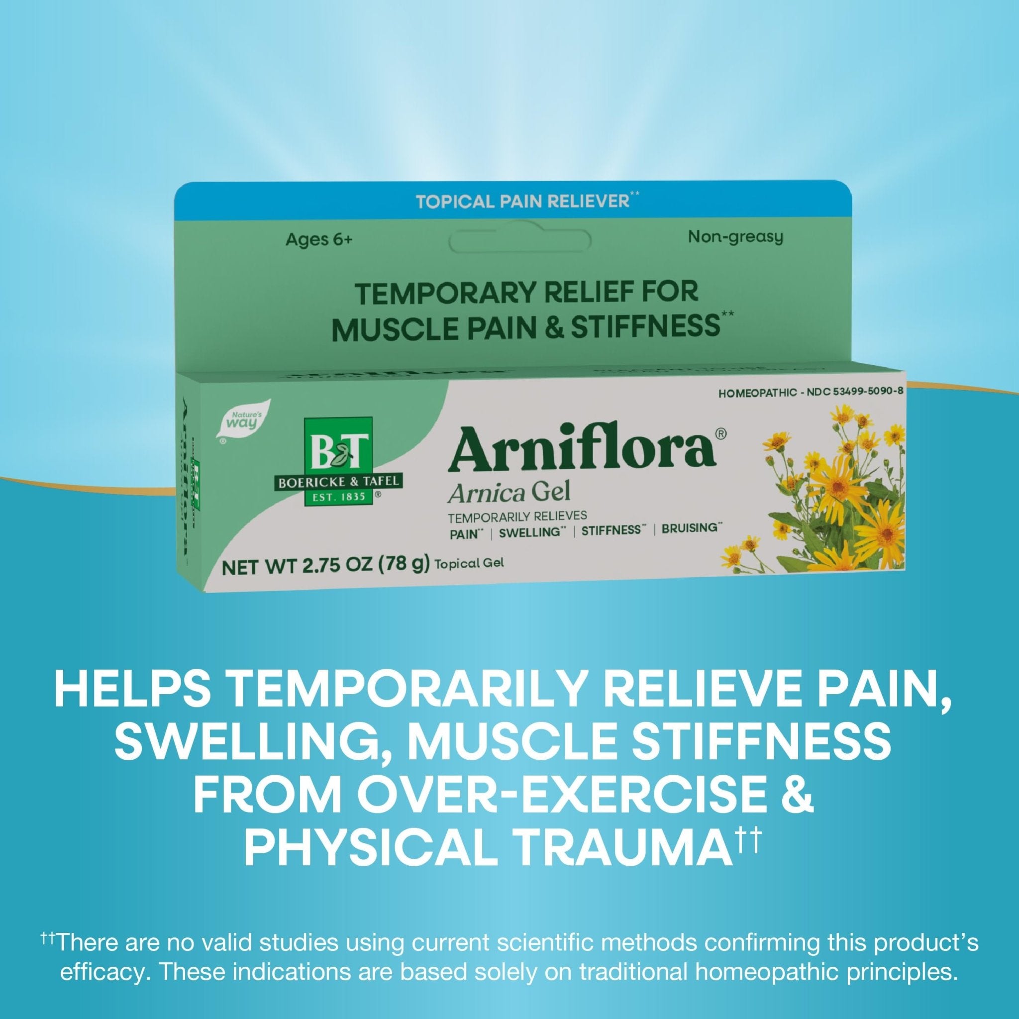 Nature's Way Boericke & Tafel Arniflora Arnica Gel, Temporarily Relieves Pain*, Swelling*, Stiffness*, 2.75 Oz (Packaging May Vary) - TrustMedUSA