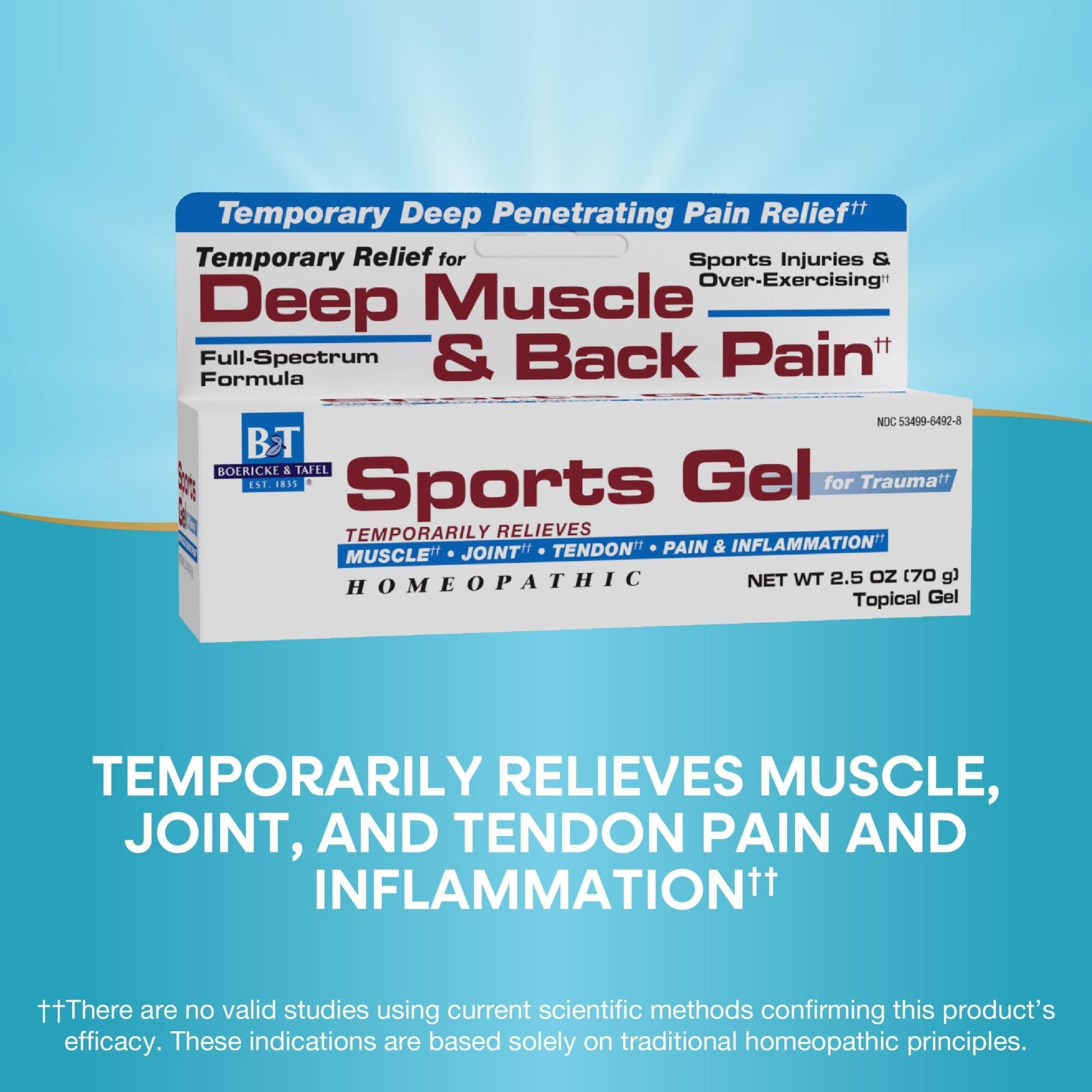 Nature's Way Boericke & Tafel Sports Gel, Relief for Deep Muscle, Joint, Tendon, & Back Pain and Inflammation, Homeopathic, 2.5 oz - TrustMedUSA