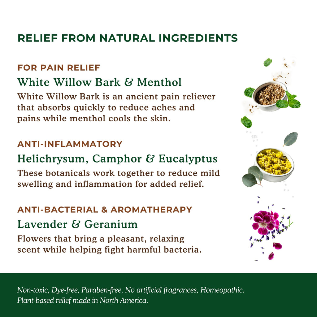 Nature's Willow Natural Pain Relief Patches for Muscles & Joints | Fast-Acting with White Willow Bark | Free from Artificial Fragrances & Dyes | 6 Patches per Pack (3-Pack) - TrustMedUSA