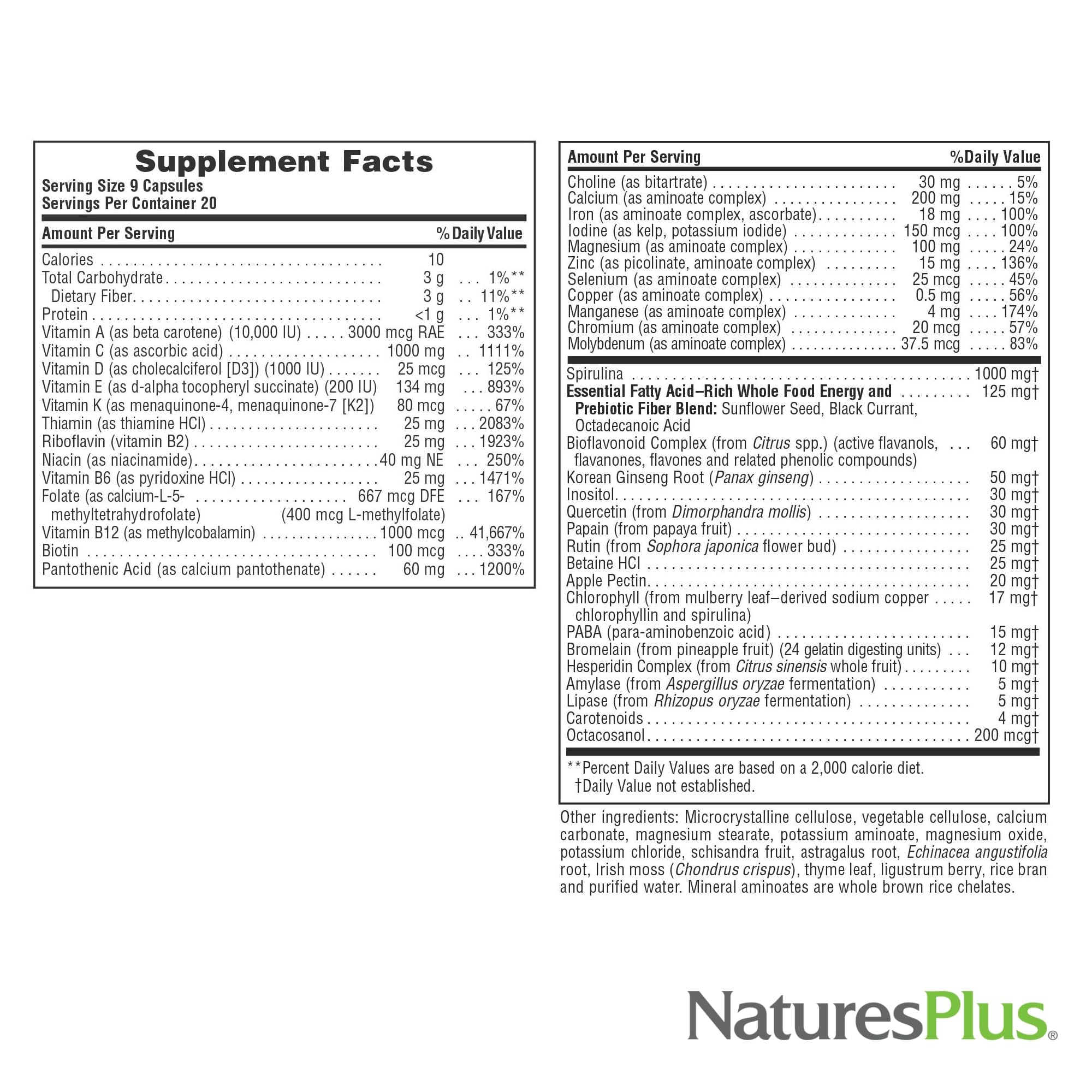 NaturesPlus Source of Life - 180 Capsules - Multivitamin & Mineral Supplement - Supports Natural Energy & Overall Well-Being - Gluten Free, Vegetarian - 20 Servings - TrustMedUSA