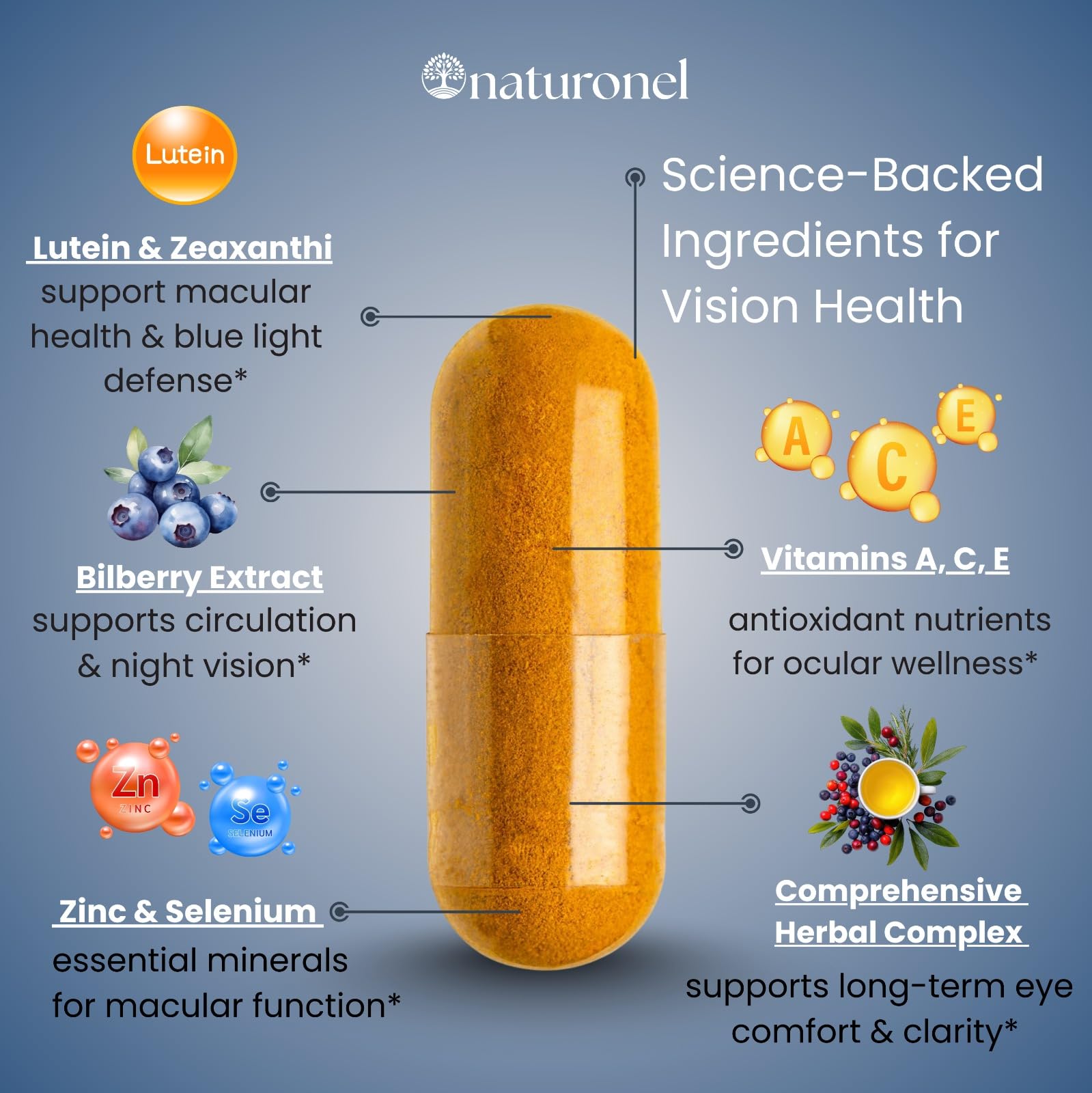 Naturonel Macular Support Formula – Vision & Eye Health with Lutein, Zeaxanthin, Bilberry, Eyebright & Antioxidants | Non-GMO, Made in USA, GMP Certified – 60 Capsules, 30 Day Supply (1) - TrustMedUSA