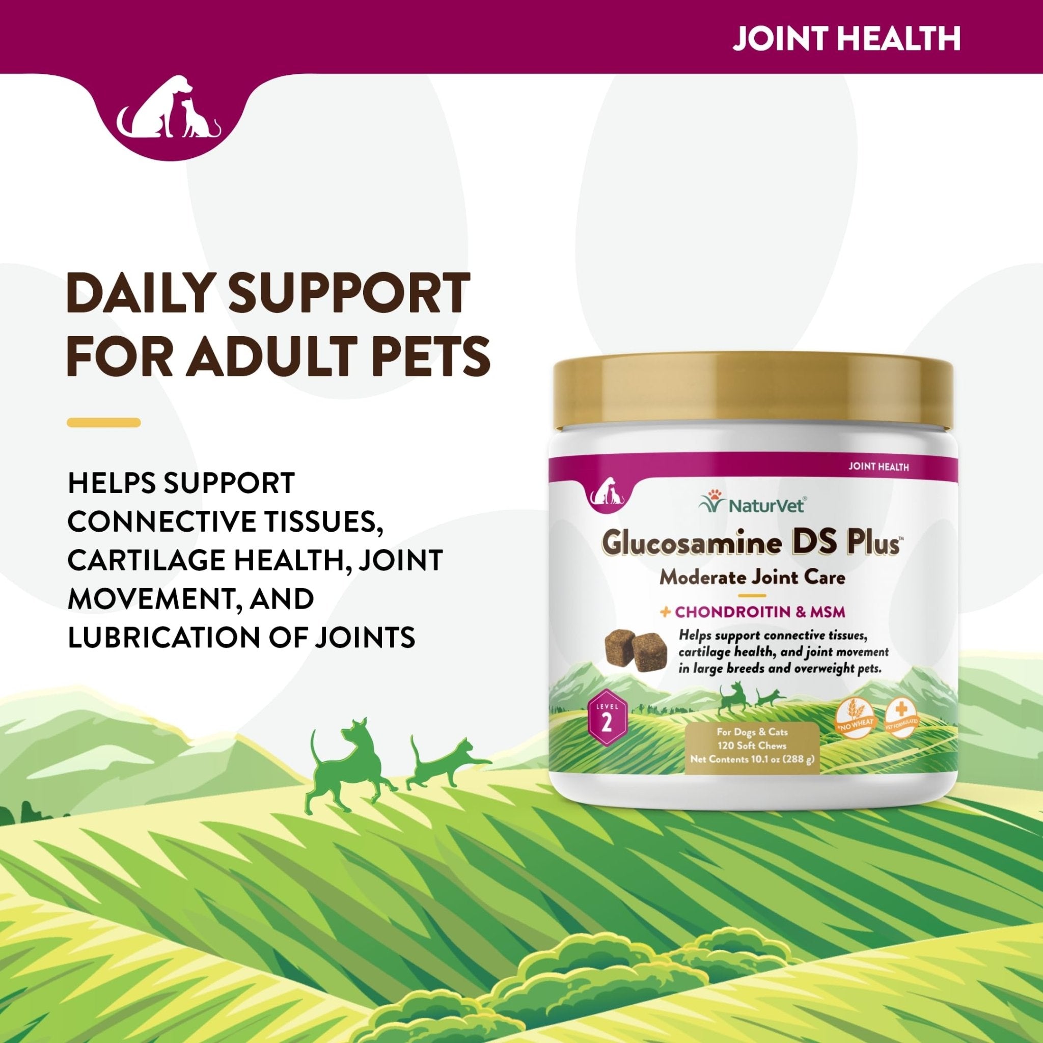 NaturVet – Glucosamine DS Plus - Level 2 Moderate Care – Supports Healthy Hip & Joint Function – Enhanced with Glucosamine, MSM & Chondroitin – for Dogs & Cats–120 Soft Chews - TrustMedUSA