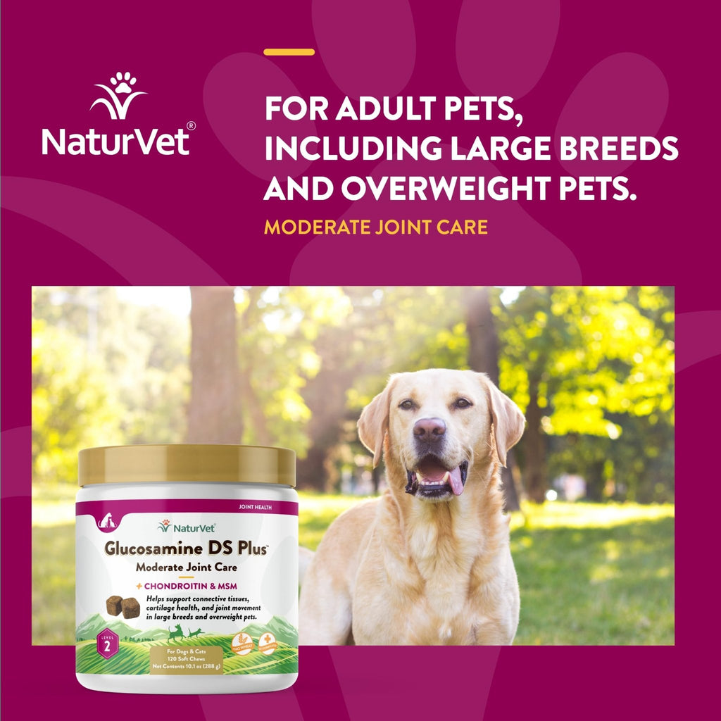 NaturVet – Glucosamine DS Plus - Level 2 Moderate Care – Supports Healthy Hip & Joint Function – Enhanced with Glucosamine, MSM & Chondroitin – for Dogs & Cats–120 Soft Chews - TrustMedUSA